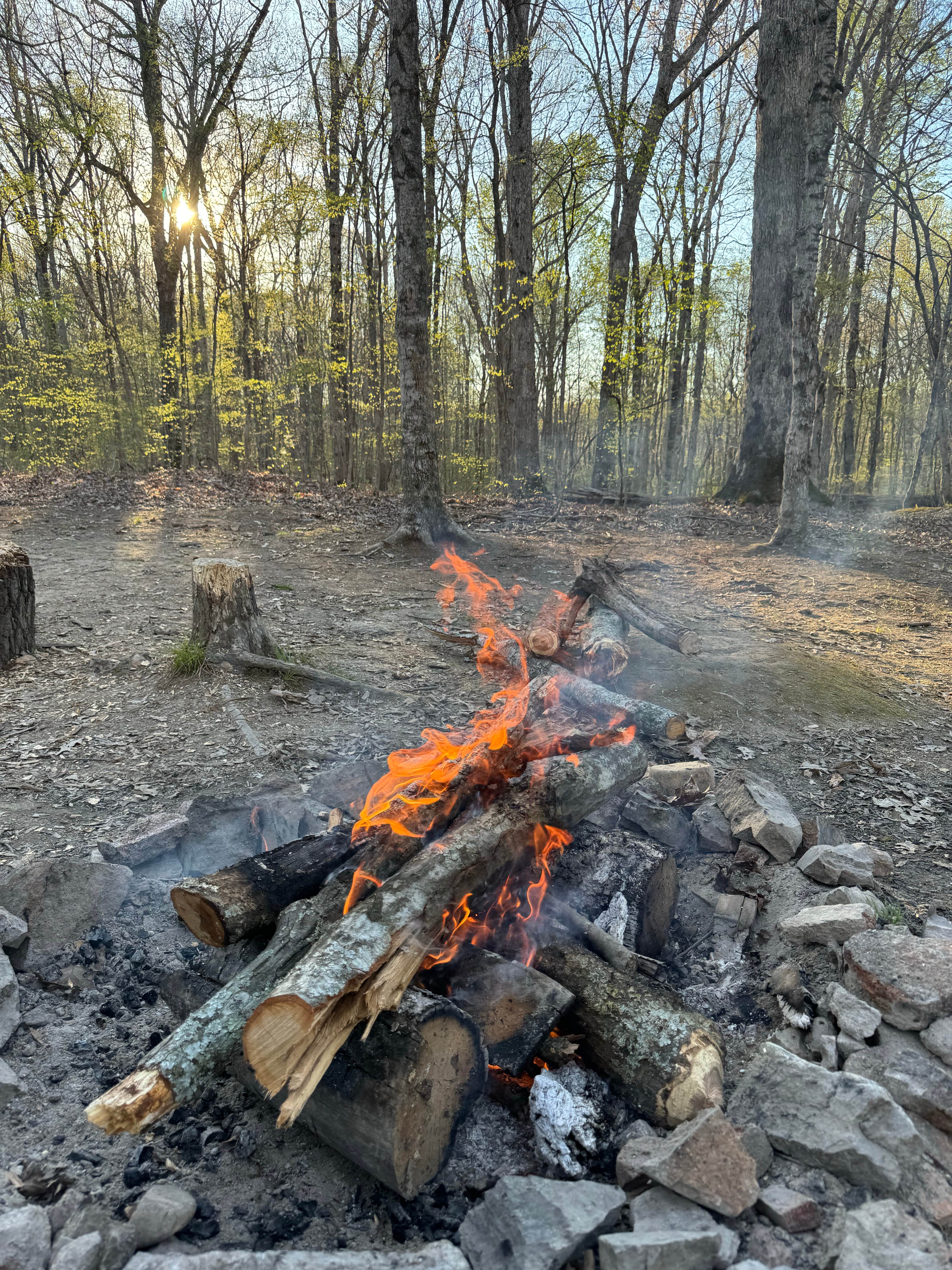 Camper-submitted photo at LBL FS-326 near Oak Grove, KY