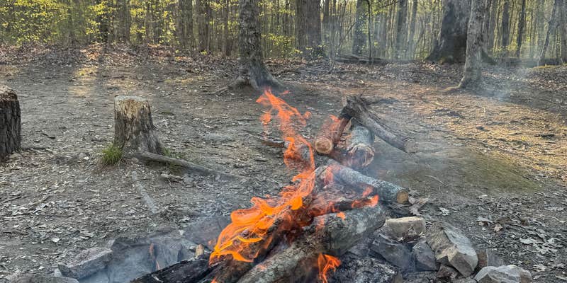 Camper submitted image from LBL FS-326