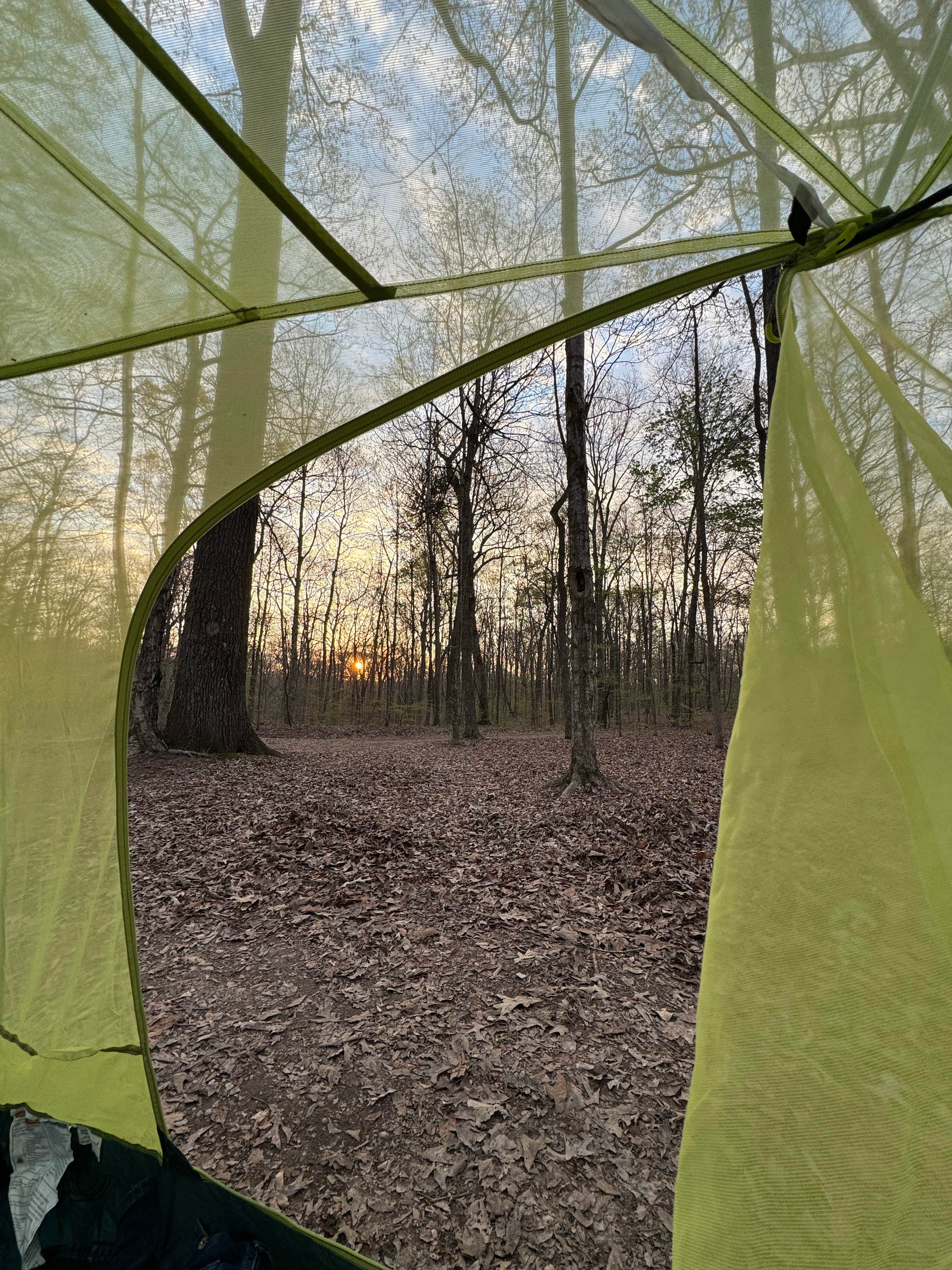 Camper-submitted photo at LBL FS-326 near Oak Grove, KY