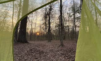 Andrea L.'s photo of a dispersed camping area at LBL FS-326 in Kentucky