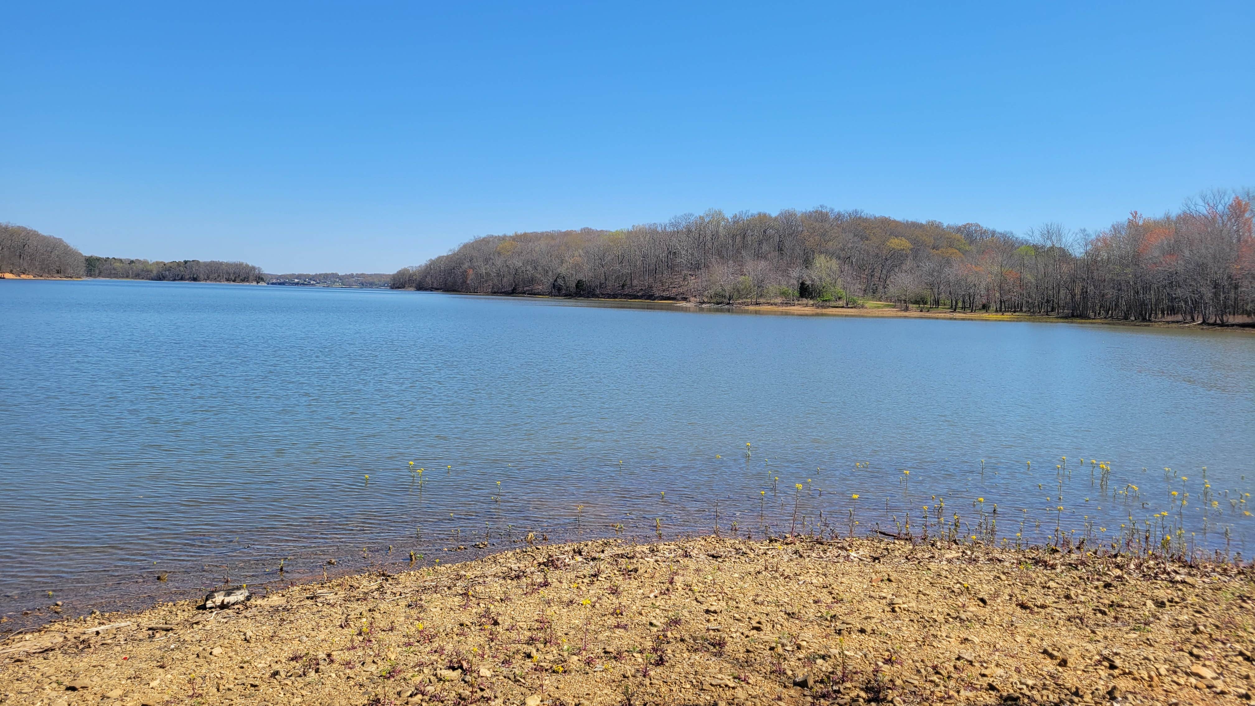 sean's photo of a dispersed camping area at LBL FS154 - Dispersed near Oak Grove, KY