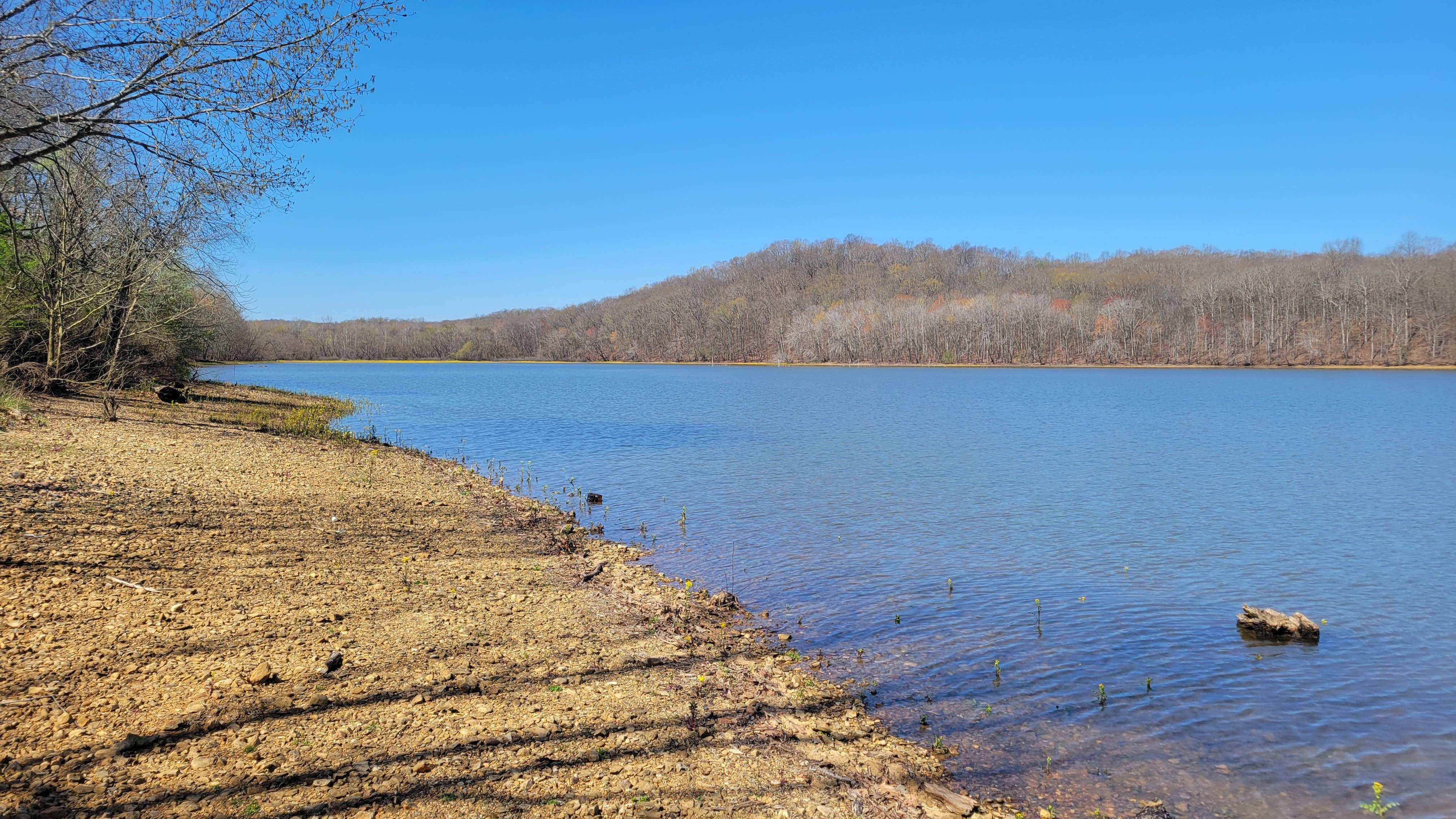 Camper-submitted photo at LBL FS154 - Dispersed near Benton, KY