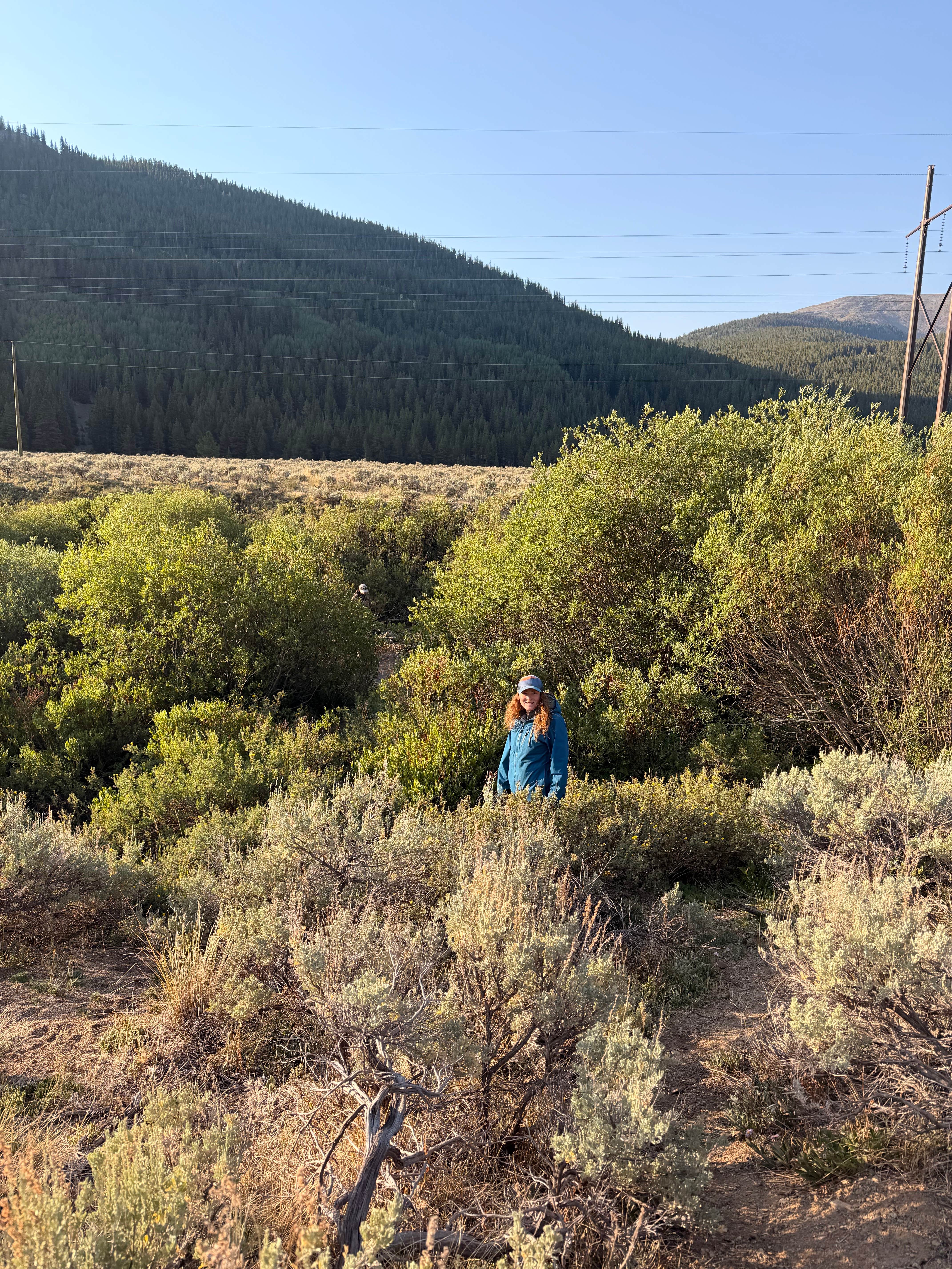 Camper-submitted photo at Leadville, Colorado Dispersed near Birdseye Gulch Jeep Rd near Fairplay, CO