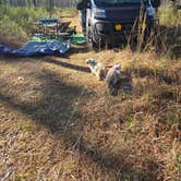 Review photo of Leaf Wilderness Area by Ethan B., June 12, 2025