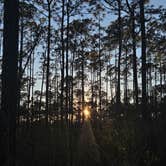 Review photo of Leaf Wilderness Area by Ethan B., June 12, 2025