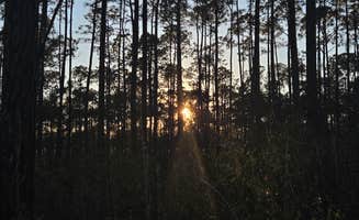 Ethan B.'s photo of a dispersed camping area at Leaf Wilderness Area near Semmes, AL