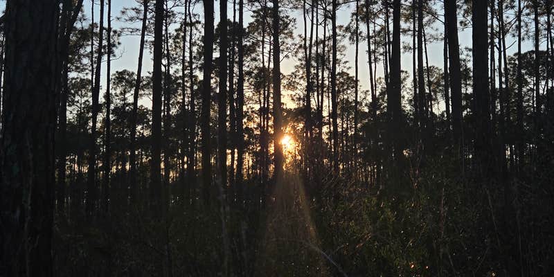 Camper submitted image from Leaf Wilderness Area