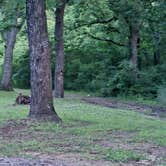 Review photo of Leavenworth Kansas State Fishing Lake by Stella R., June 25, 2026
