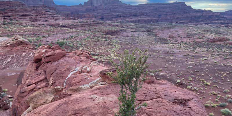 Camper submitted image from Ledge E