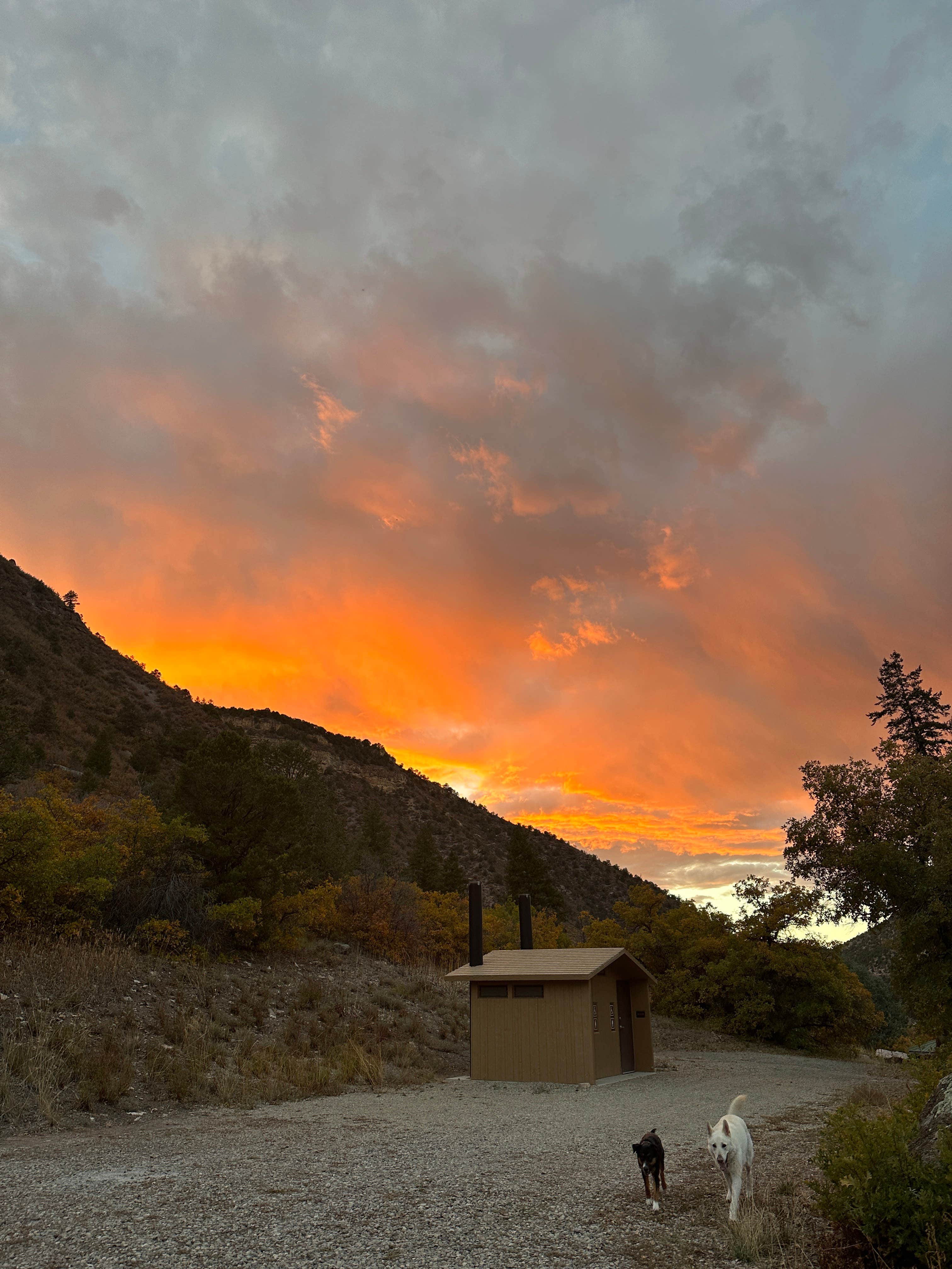 Camper-submitted photo at Ledges Rockhouse Campground near Norwood, CO