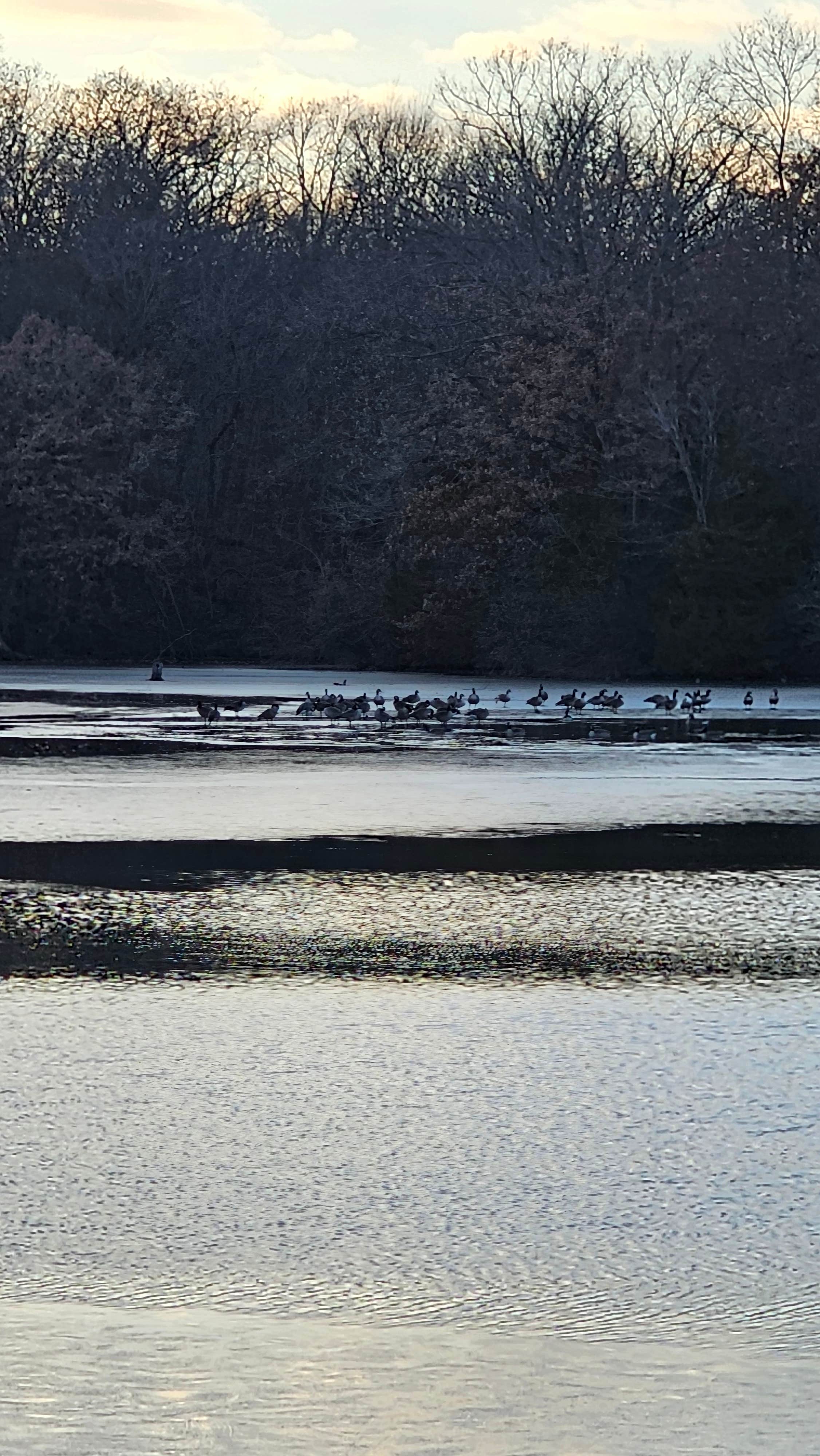 Camper-submitted photo at Lee County Pollmiller Park near Burlington, IA