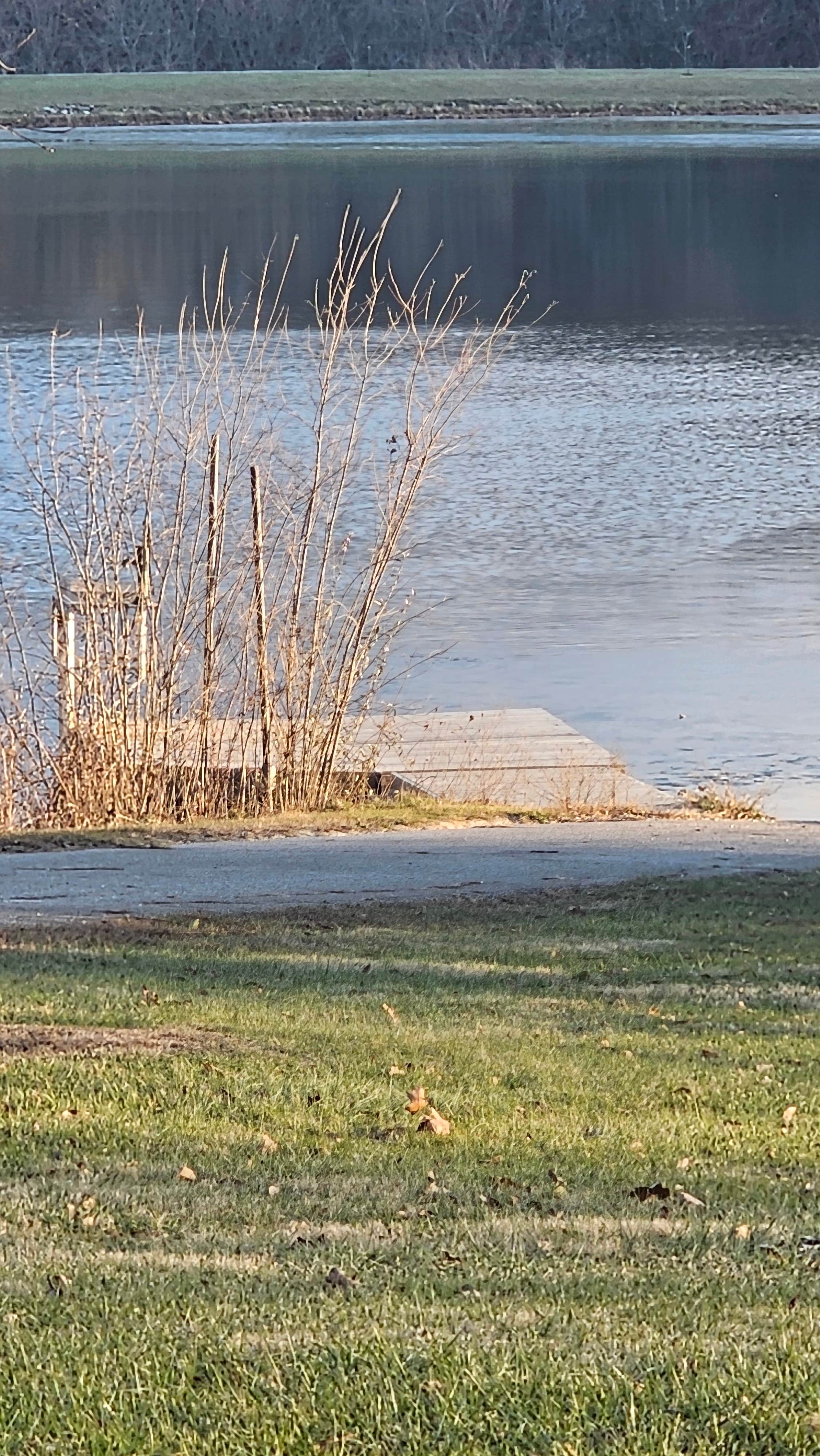 Camper-submitted photo at Lee County Pollmiller Park near Burlington, IA
