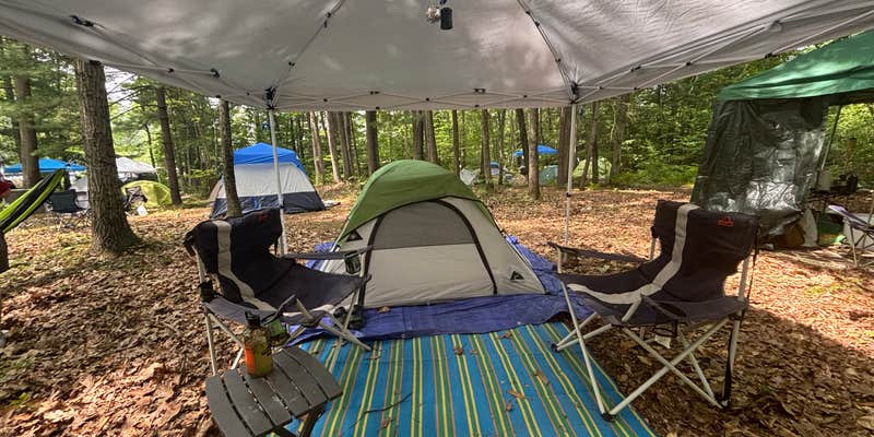 Camper submitted image from Lee's Park Campground