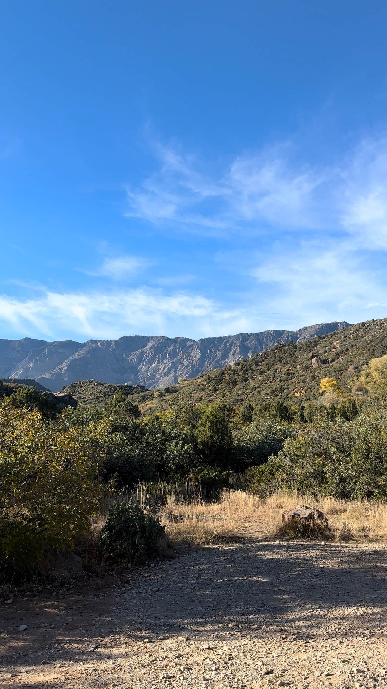 Camper-submitted photo at Leeds Canyon Dispersed #11 near Pine Valley, UT