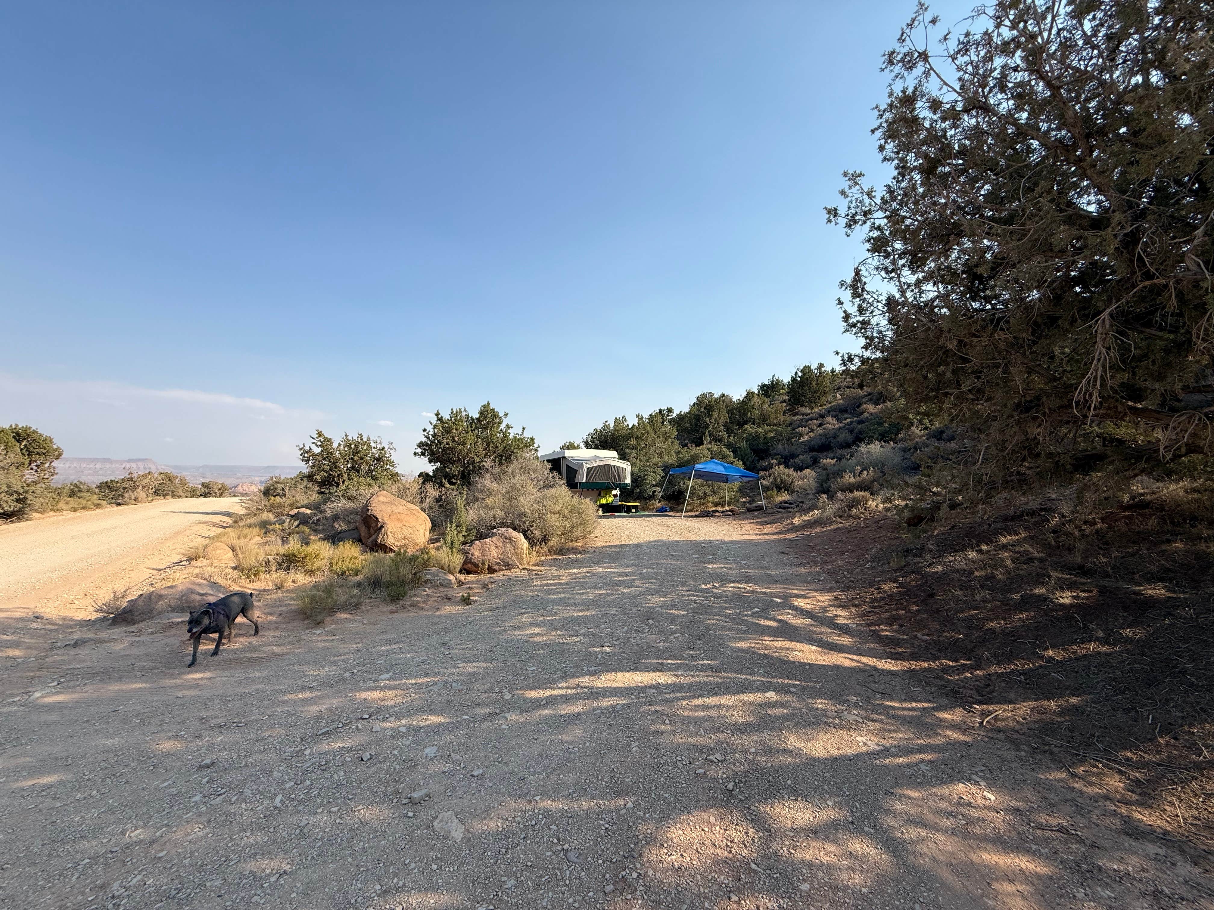 Lauren S.'s photo of camping with pets at Leeds Canyon Dispersed #4 near Dammeron Valley, UT