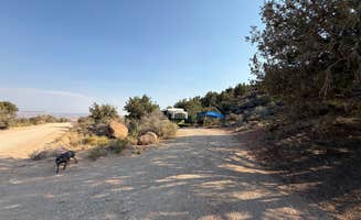 Lauren S.'s photo of camping with pets at Leeds Canyon Dispersed #4 near Leeds, UT