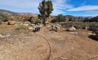 Dominica T.'s photo of camping with pets at Leeds Canyon Dispersed #5 near Leeds, UT
