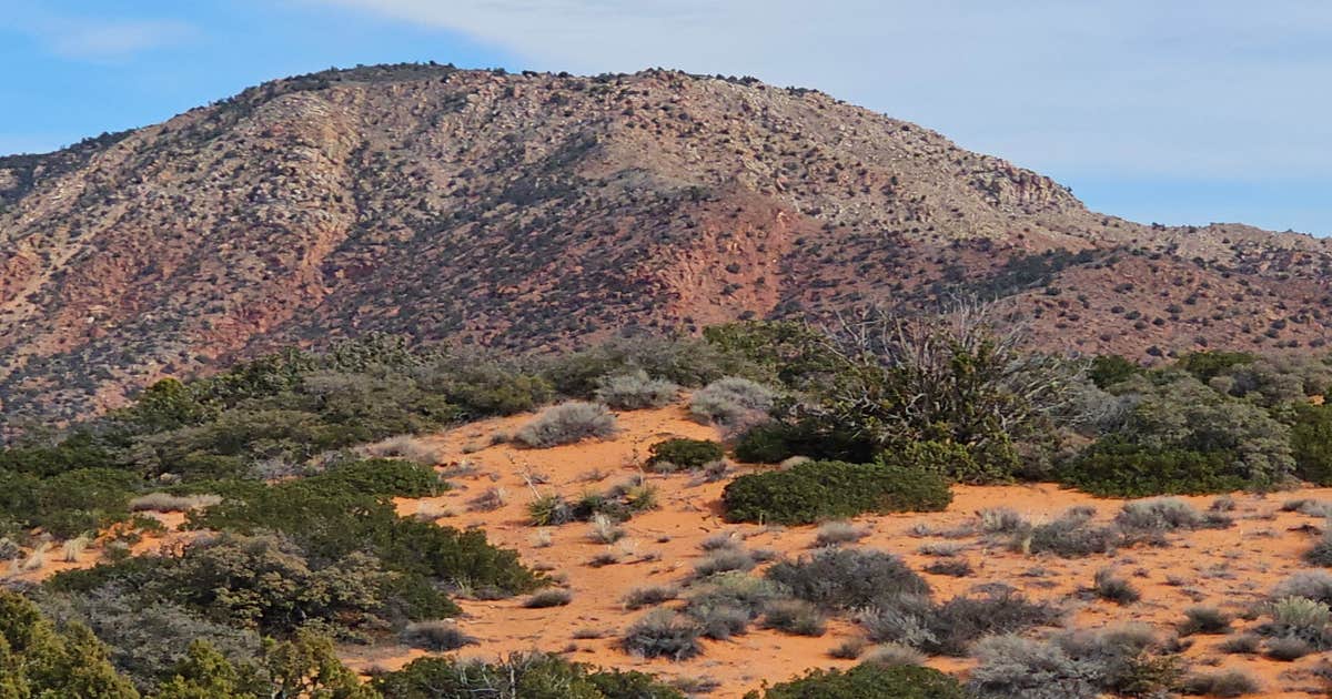 Leeds Canyon Dispersed #5