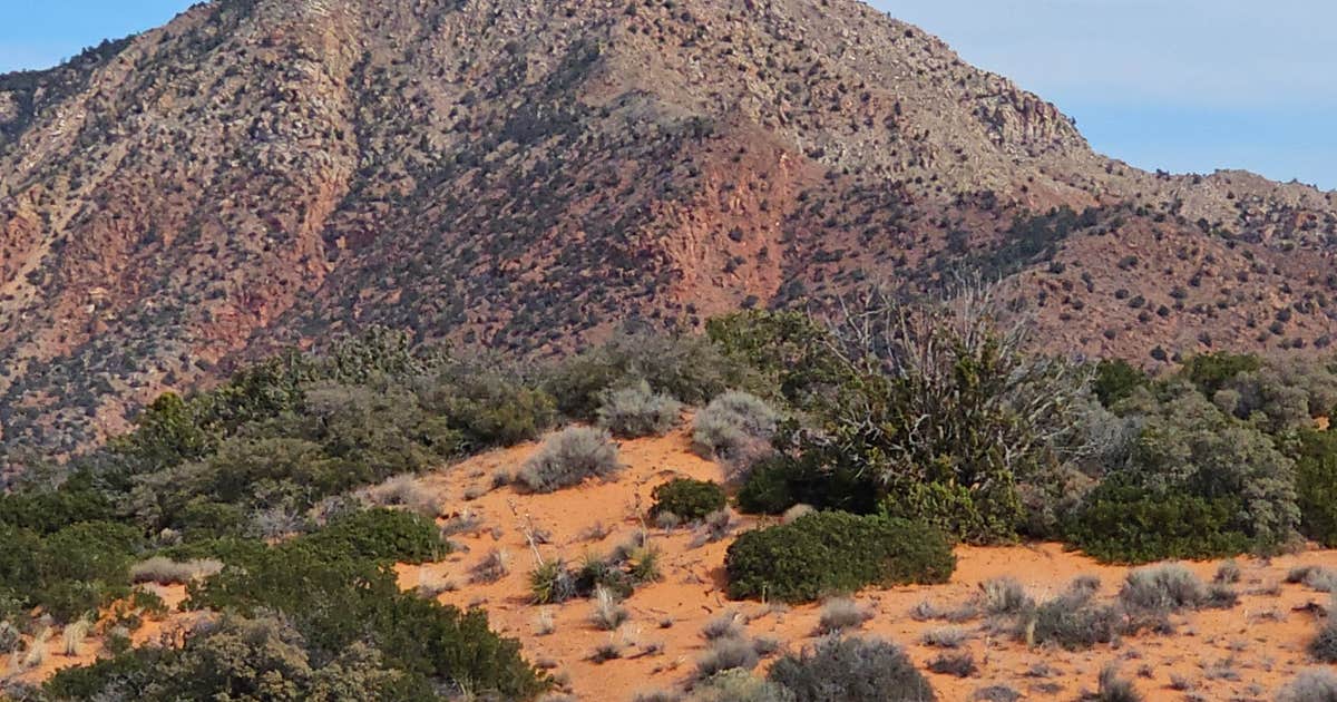 Leeds Canyon Dispersed #5