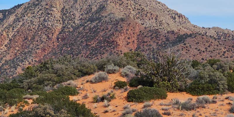 Camper submitted image from Leeds Canyon Dispersed #5