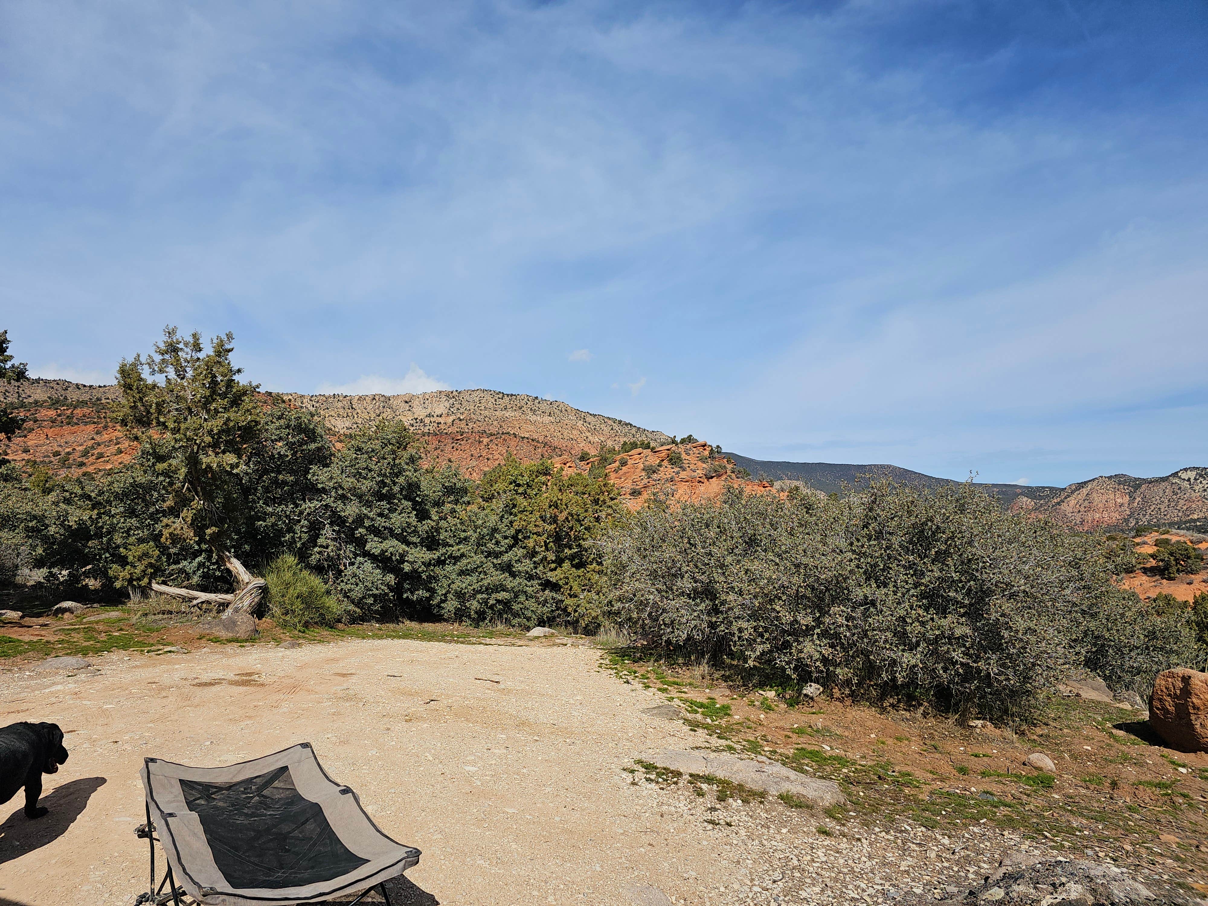 Dominica T.'s photo of camping with pets at Leeds Canyon Dispersed #5 near Enterprise, UT