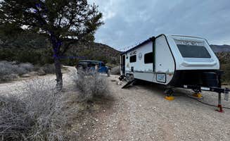 Michael M.'s photo of camping with pets at Leeds Canyon Dispersed #7-8 near Leeds, UT