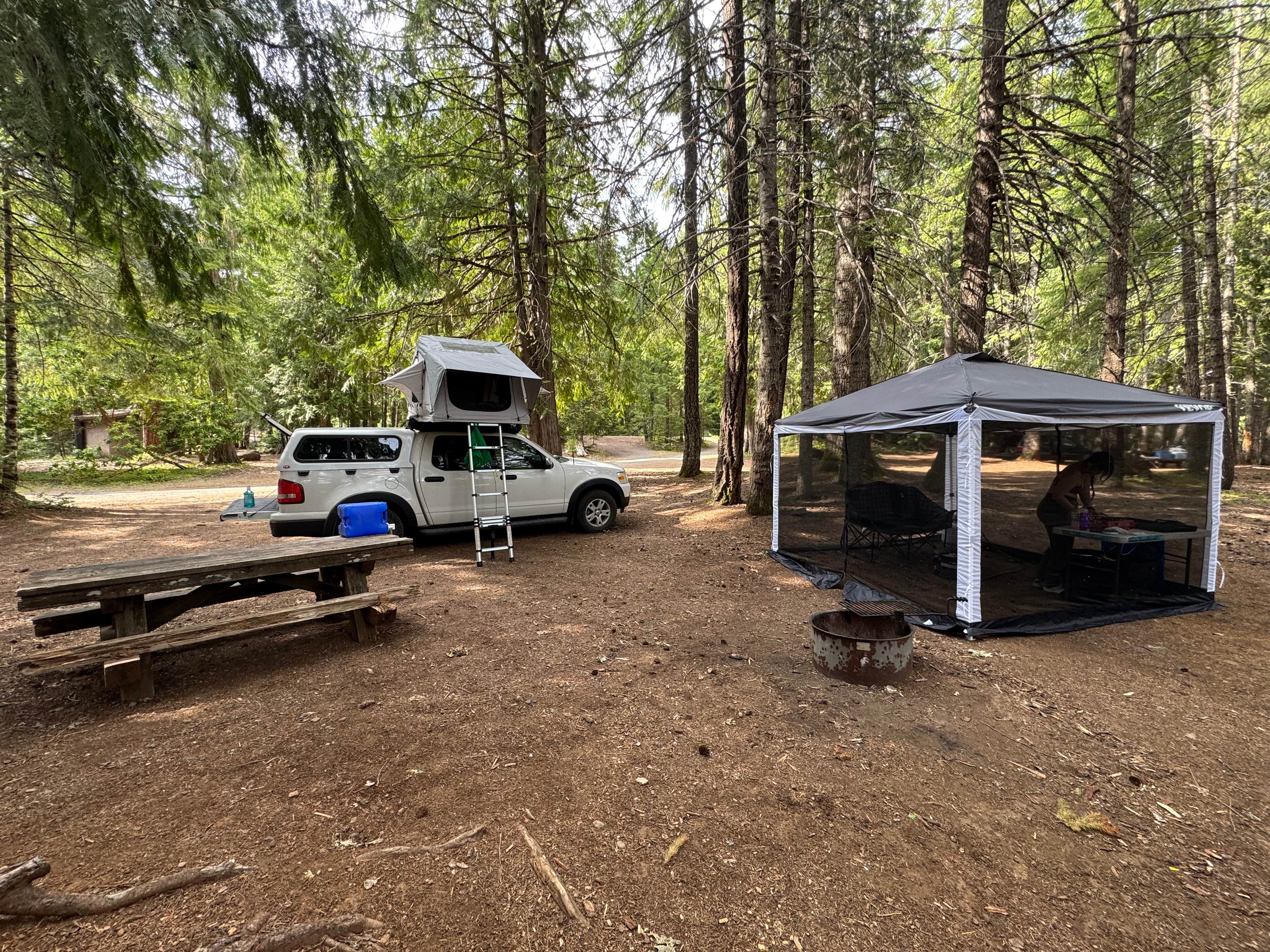 Vivian N.'s photo at Lemono Forebay near Clearwater, OR