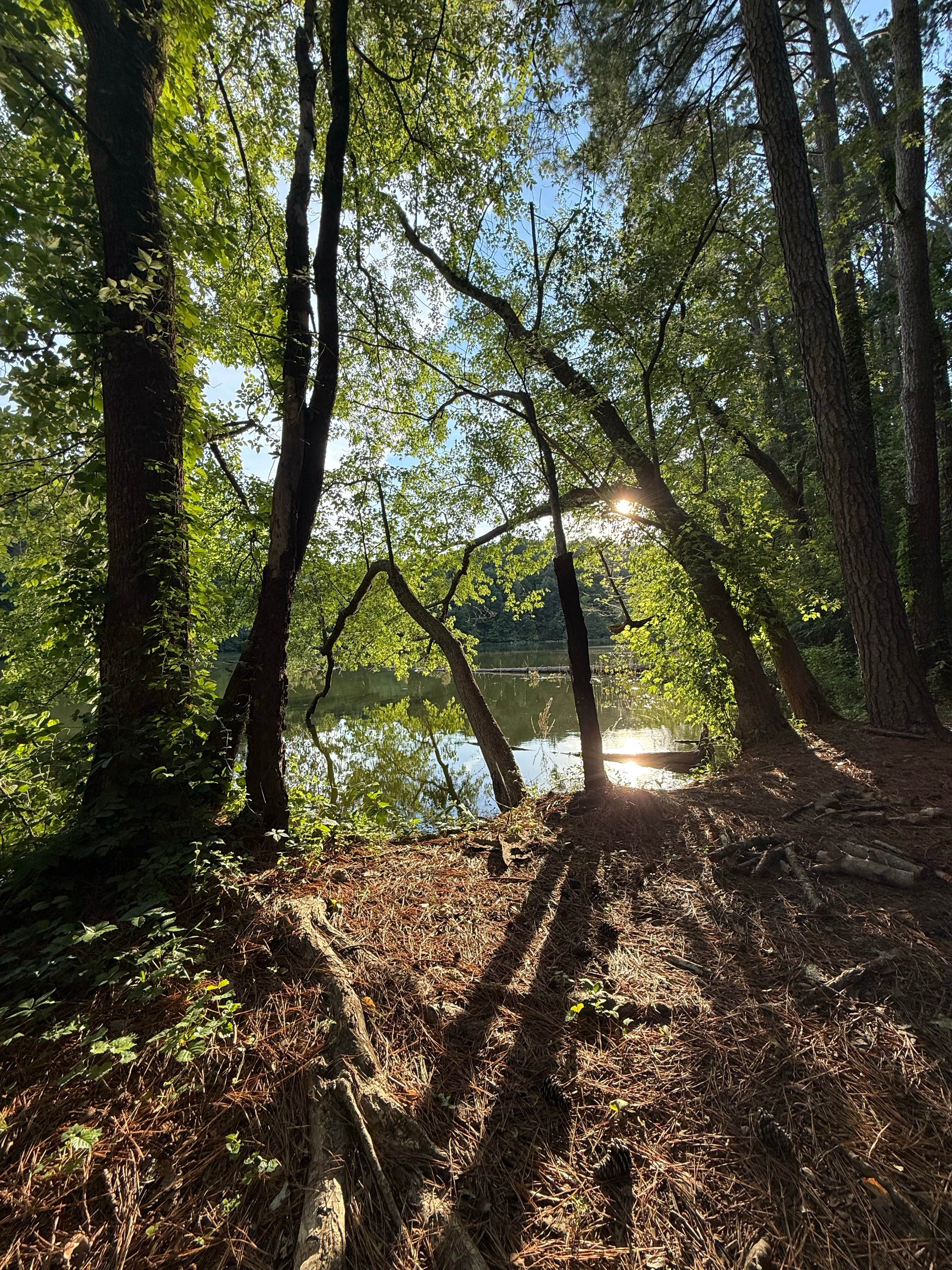 sav's photo of a dispersed camping area at Lentzville Road near Harvest, AL