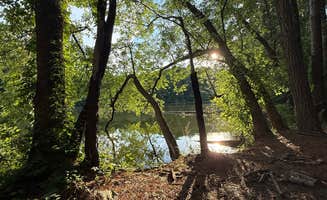 sav's photo of a dispersed camping area at Lentzville Road in Alabama