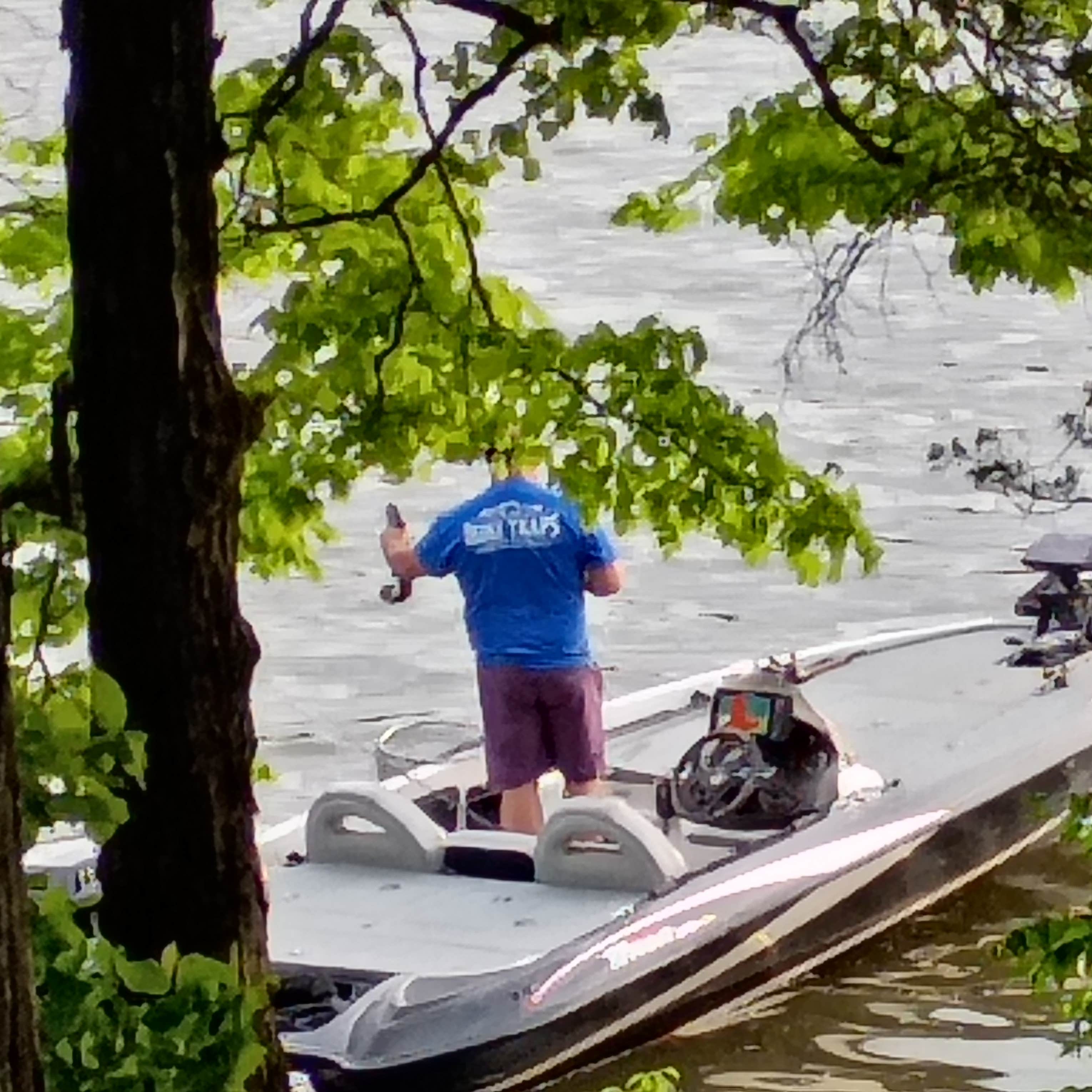 Camper-submitted photo at Lentzville Road near Rogersville, AL