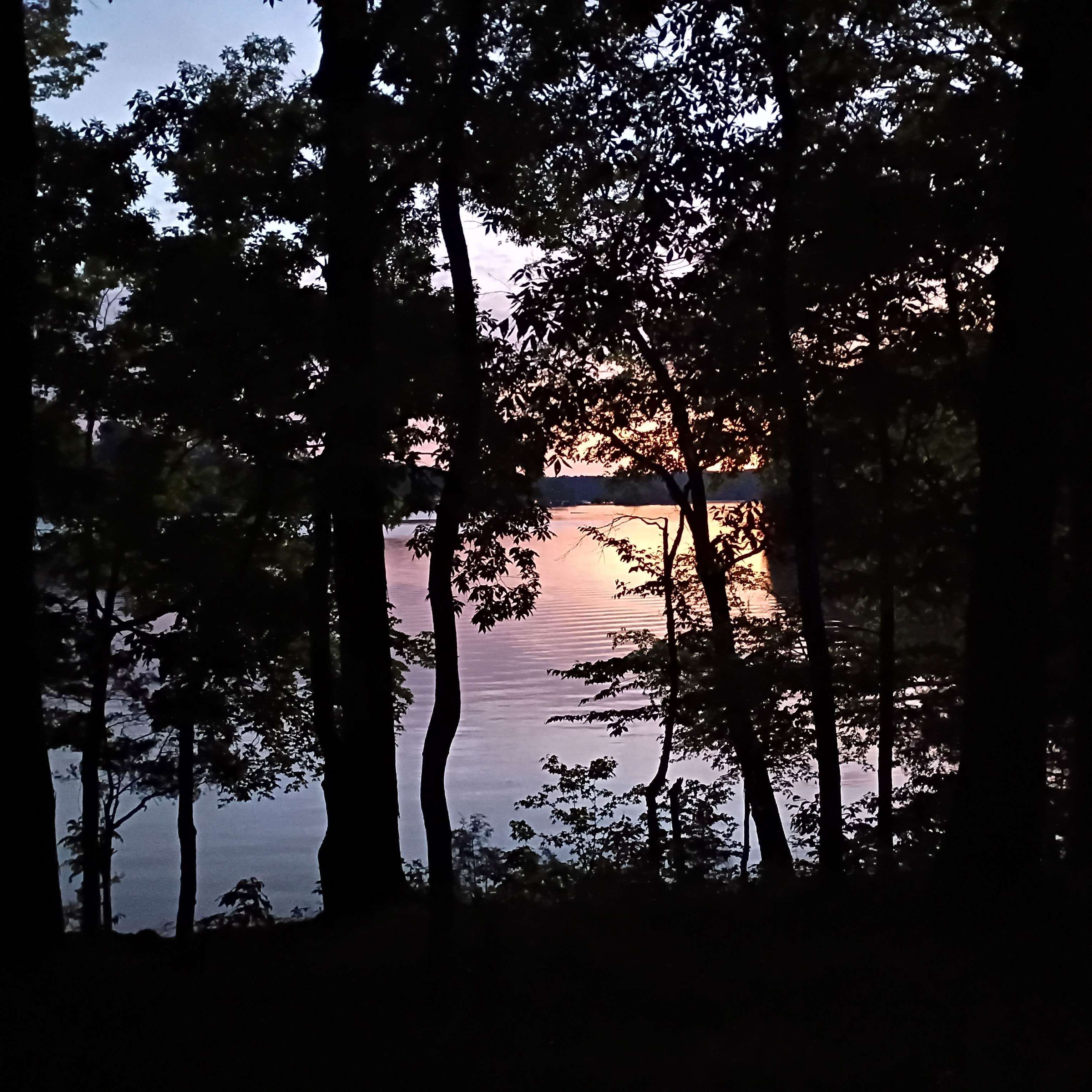 Camper-submitted photo at Lentzville Road near Rogersville, AL