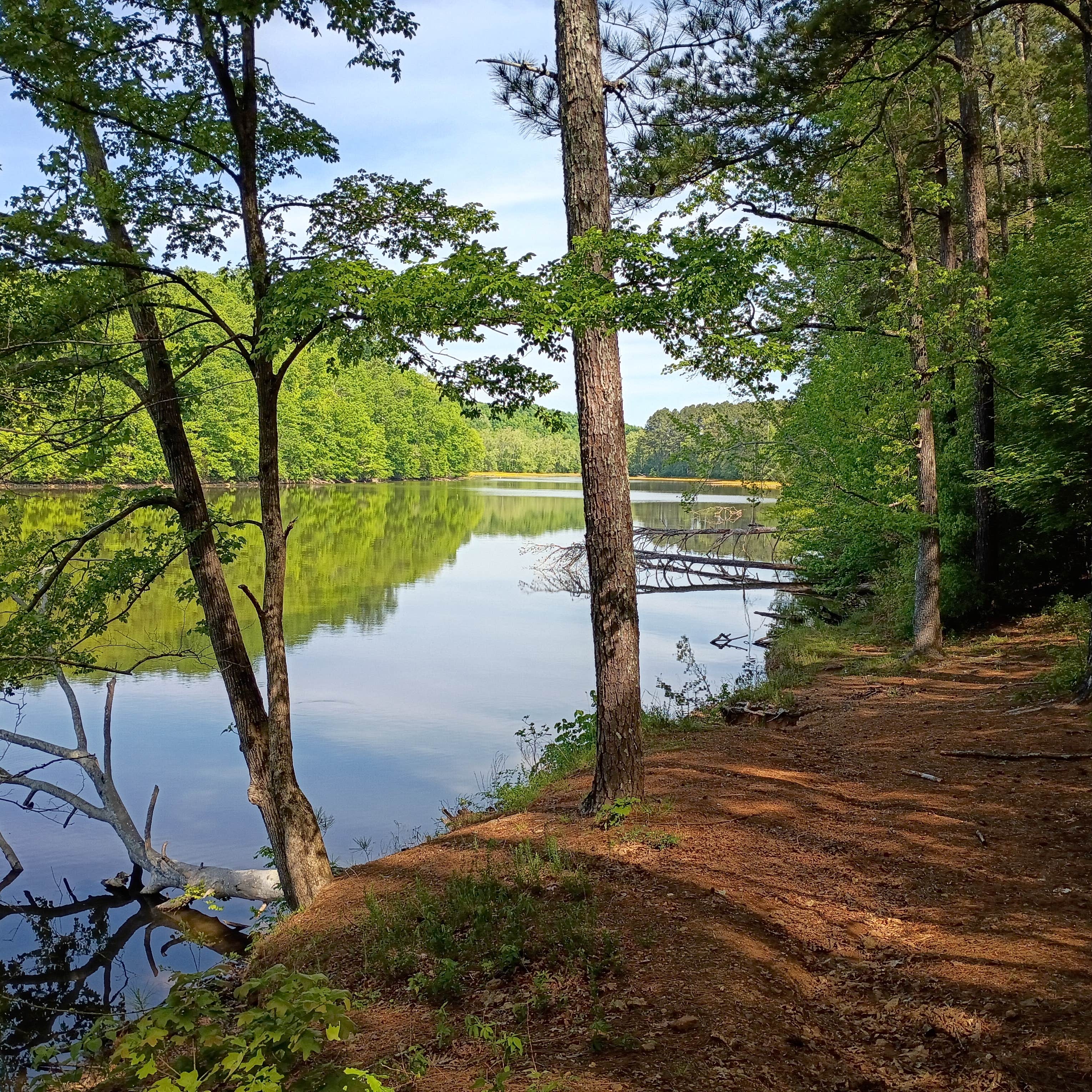 Glen B.'s photo of a dispersed camping area at Lentzville Road near Bear Creek, AL