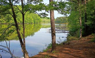 Glen B.'s photo of a dispersed camping area at Lentzville Road in Alabama