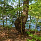 Review photo of Lentzville Road by Glen B., April 21, 2026