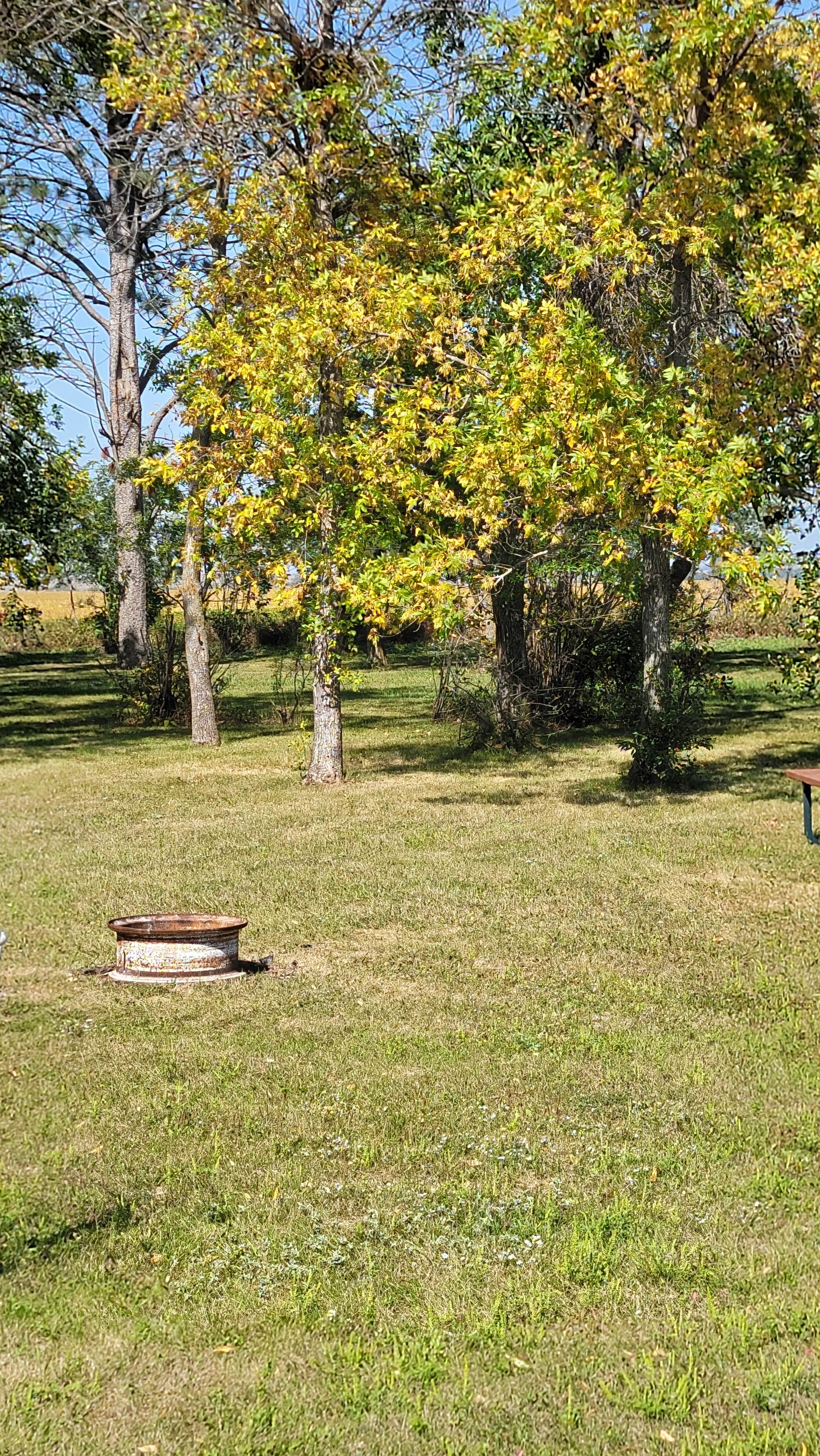 Camper-submitted photo at Leola City Park near Forbes, ND