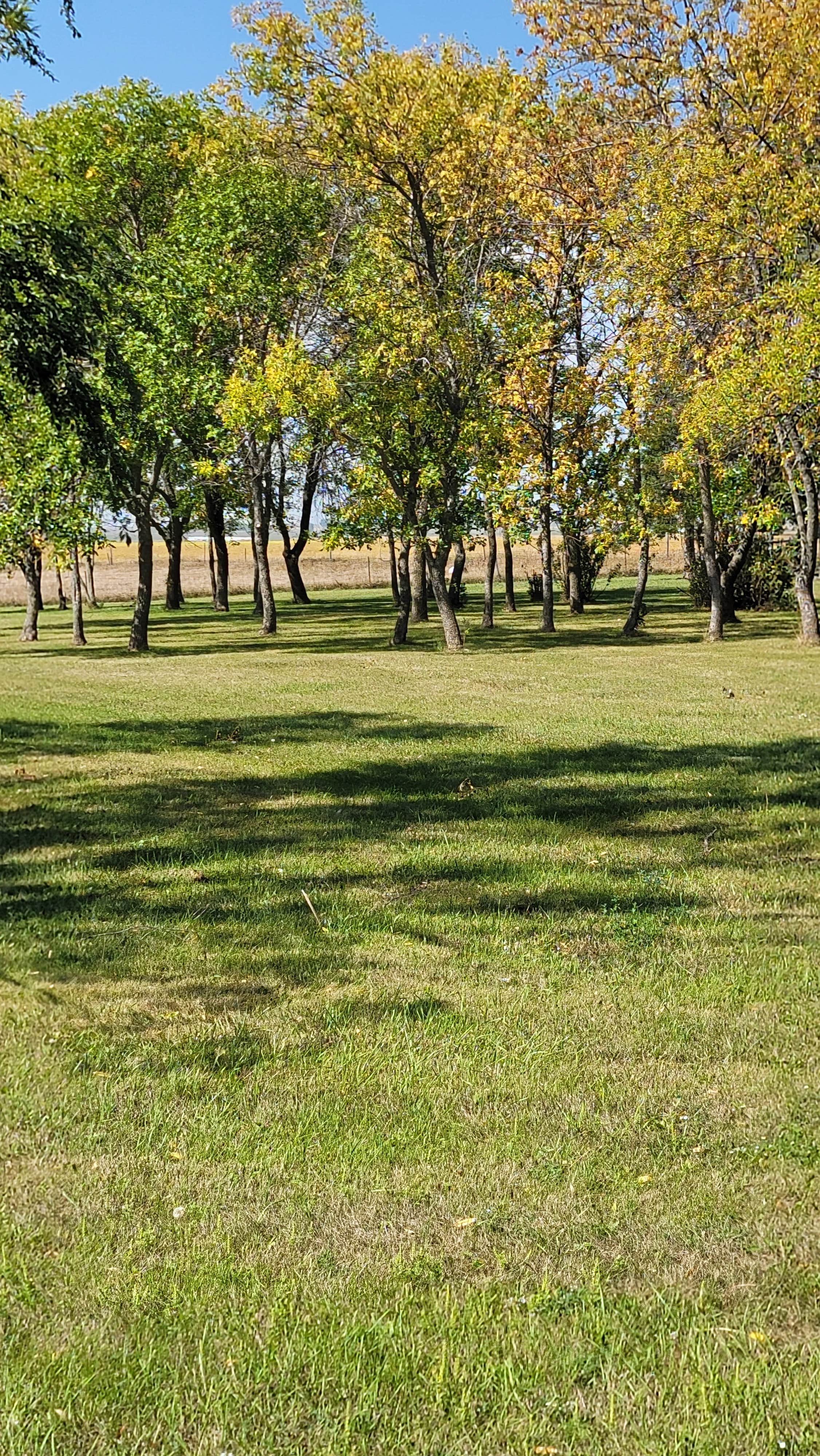 Camper-submitted photo at Leola City Park near Forbes, ND