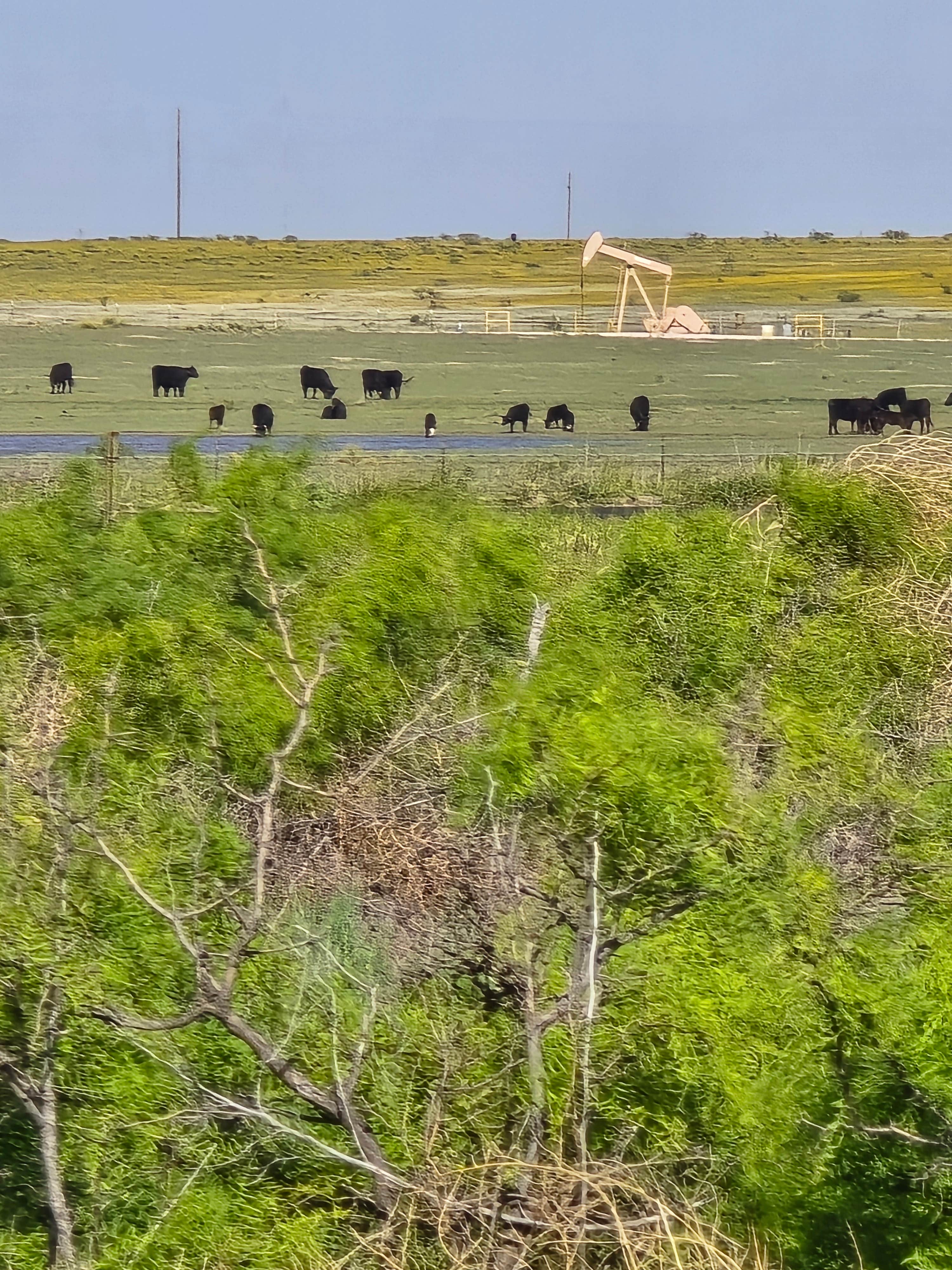 Levelland City RV Park and Dump station