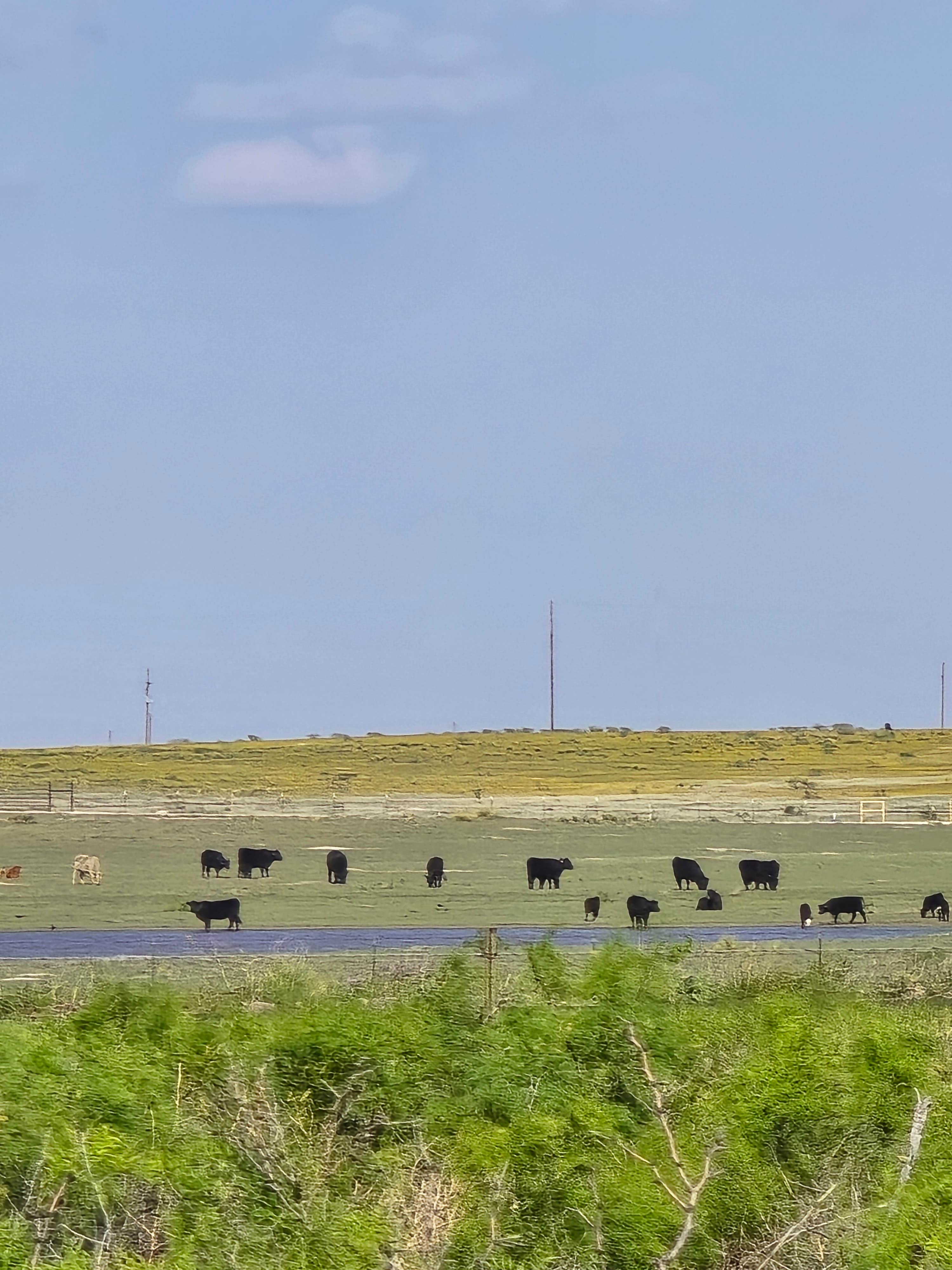 Levelland City RV Park and Dump station