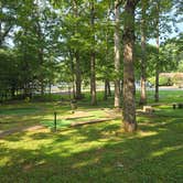 Review photo of Levi Jackson Wilderness State Park Campground by Nan N., August 15, 2026