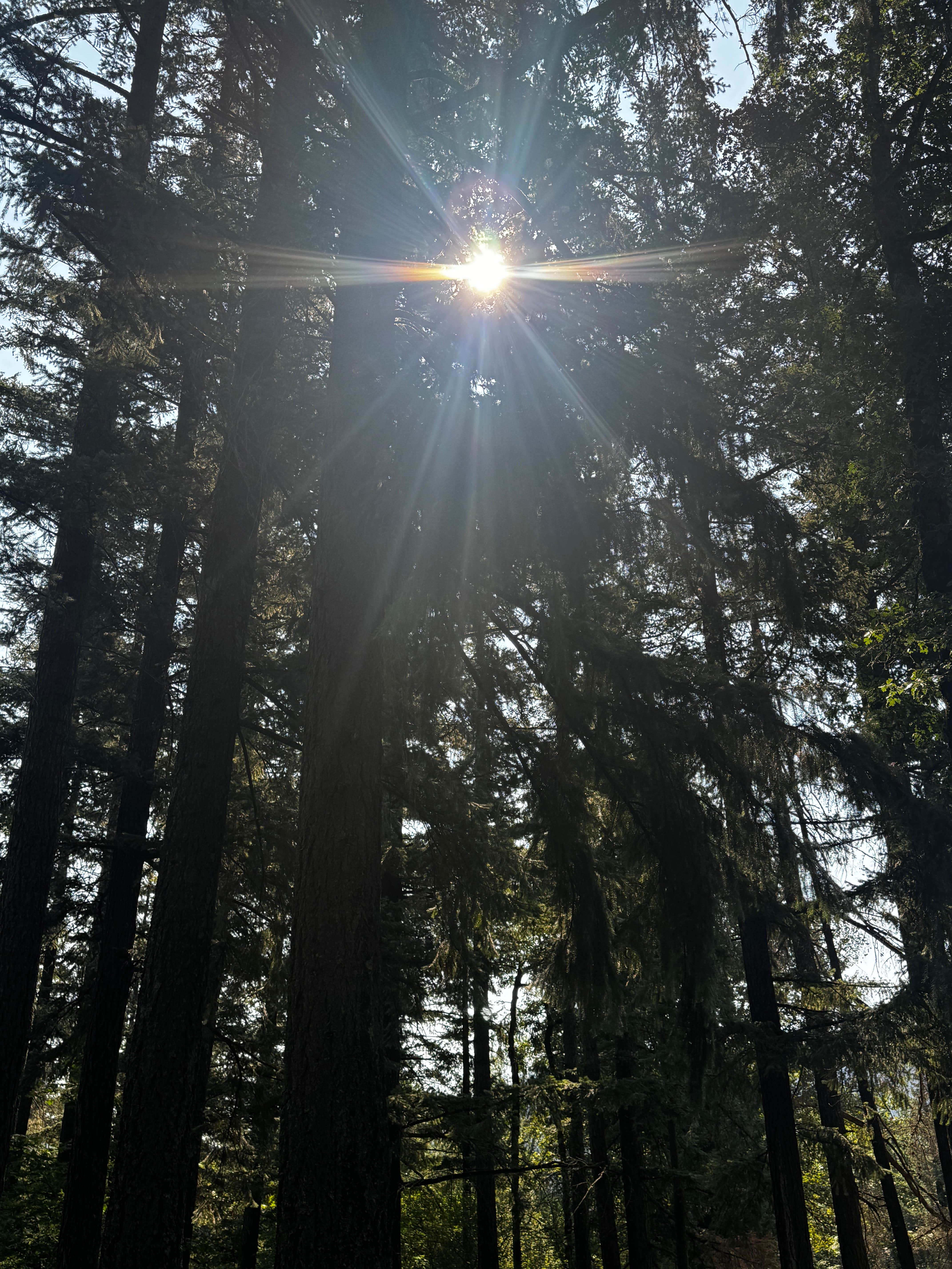 Camping near Port of Cascade Locks Campground: Lewis & Clark Campground & RV Park, North Bonneville, Washington