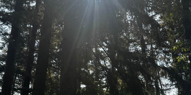 Camper submitted image from Lewis & Clark Campground & RV Park