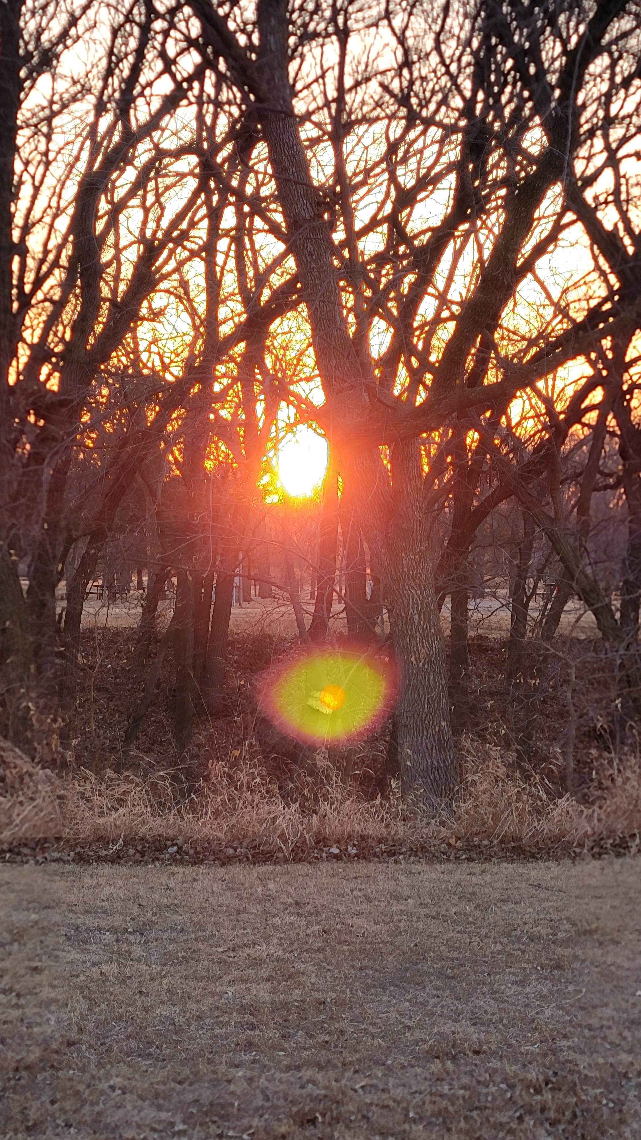 Camper-submitted photo at Weigand Campground — Lewis and Clark State Recreation Area near Yankton, SD