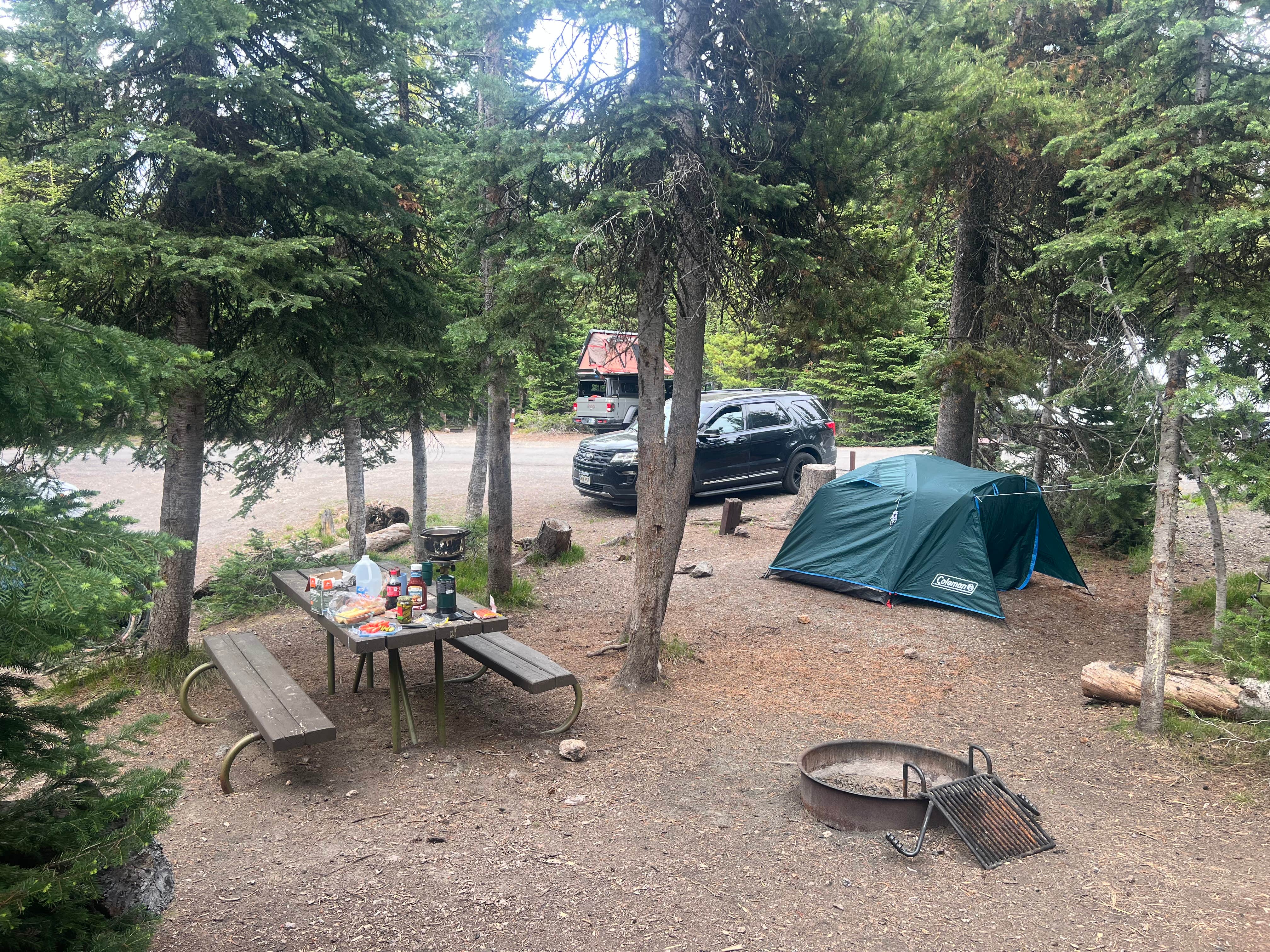 Camping near Lewis Lake — Yellowstone National Park: Lewis Lake Campground, Moran, Wyoming