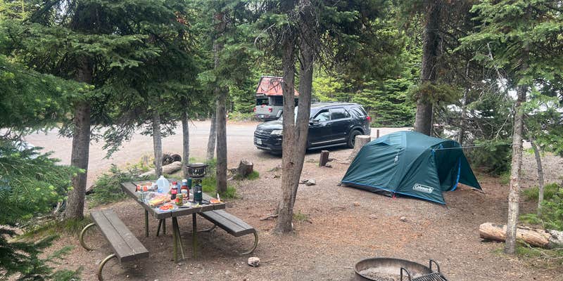 Camper submitted image from Lewis Lake Campground