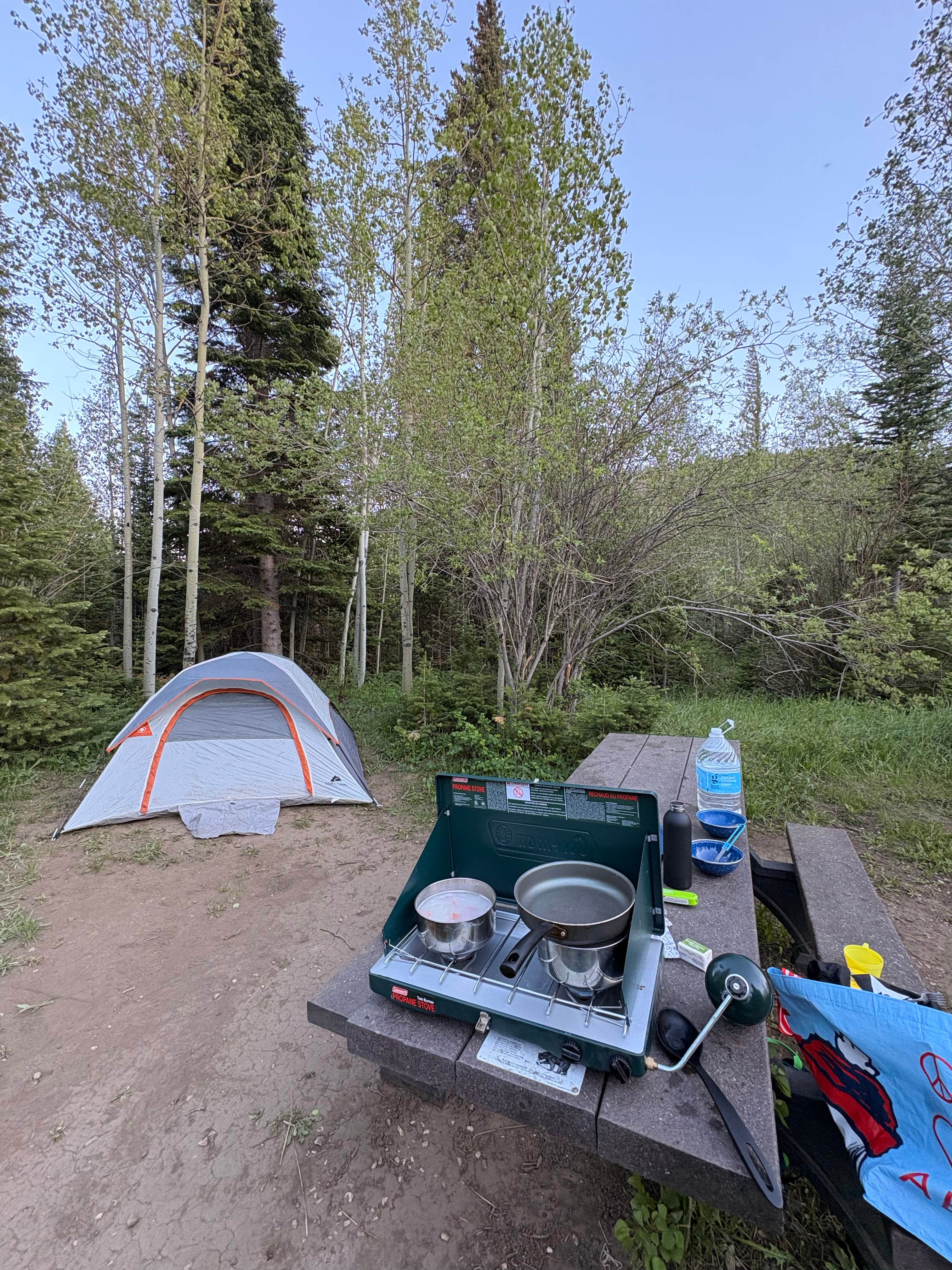 Camper-submitted photo at Libby Creek Pine Campground near Centennial, WY