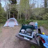 Review photo of Libby Creek Pine Campground by Christine A., June 10, 2026