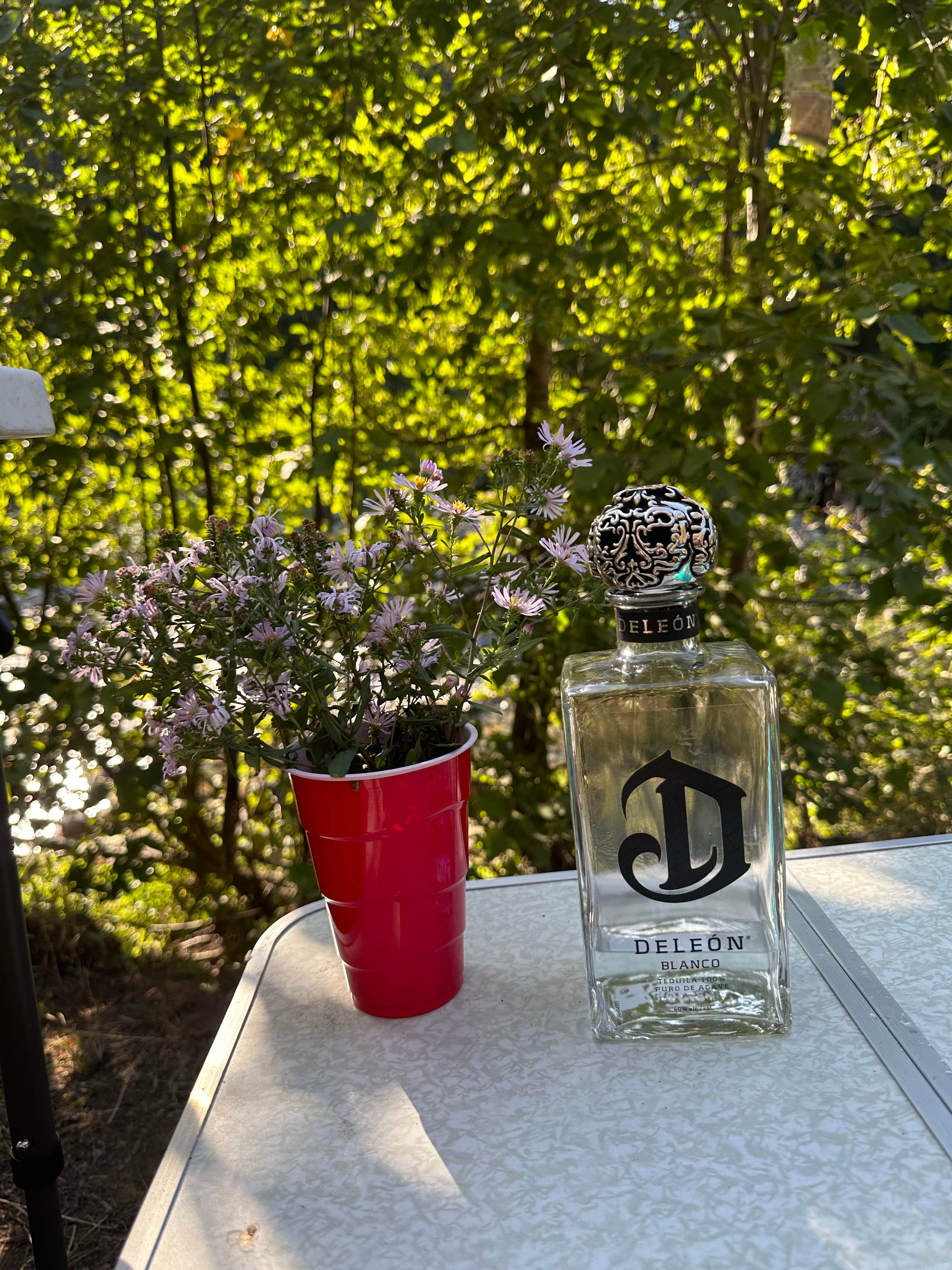 Camper-submitted photo at Liberty Town / Williams Creek Dispersed Camping near Ellensburg, WA