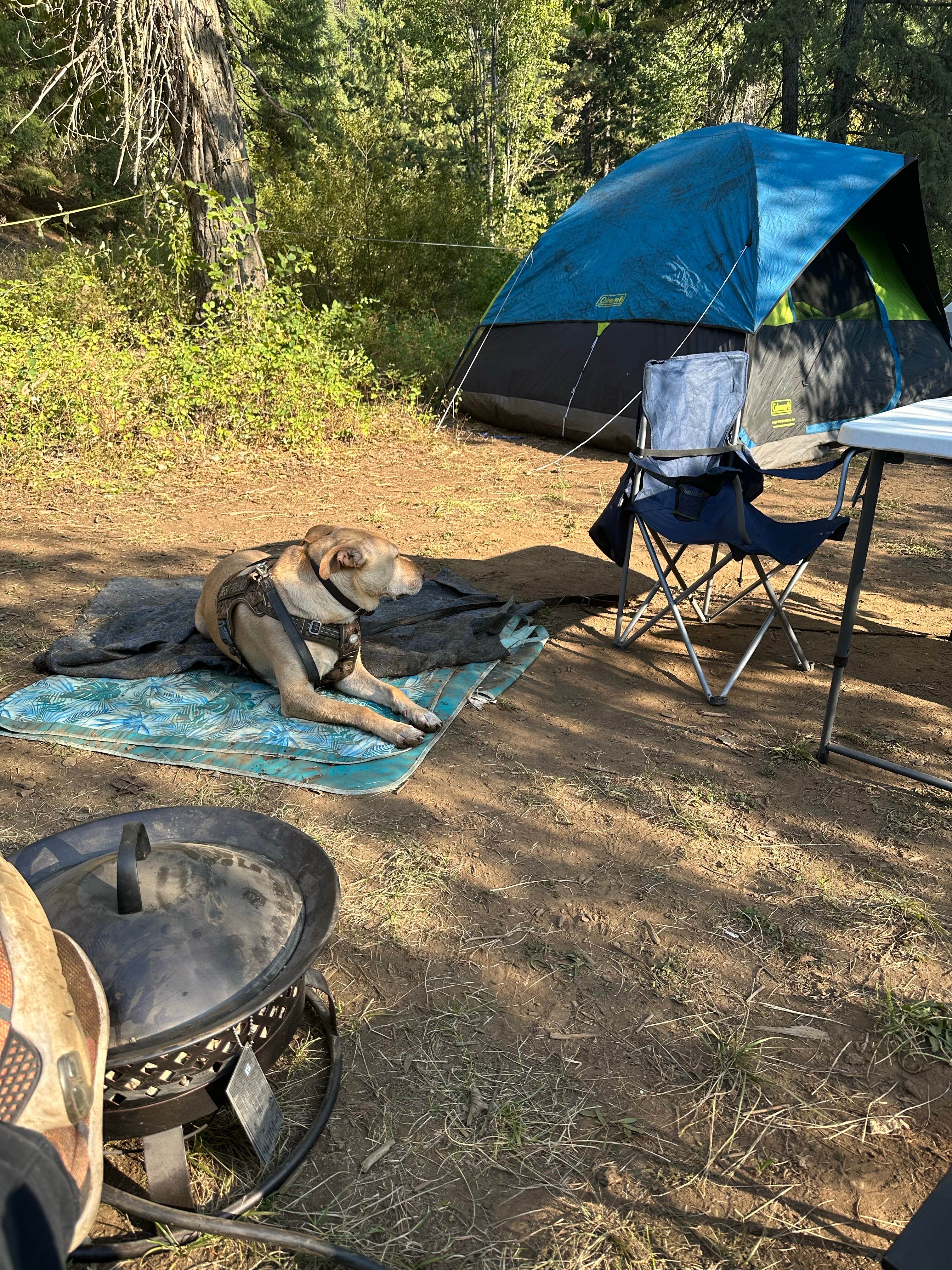 Camper-submitted photo at Liberty Town / Williams Creek Dispersed Camping near Ellensburg, WA