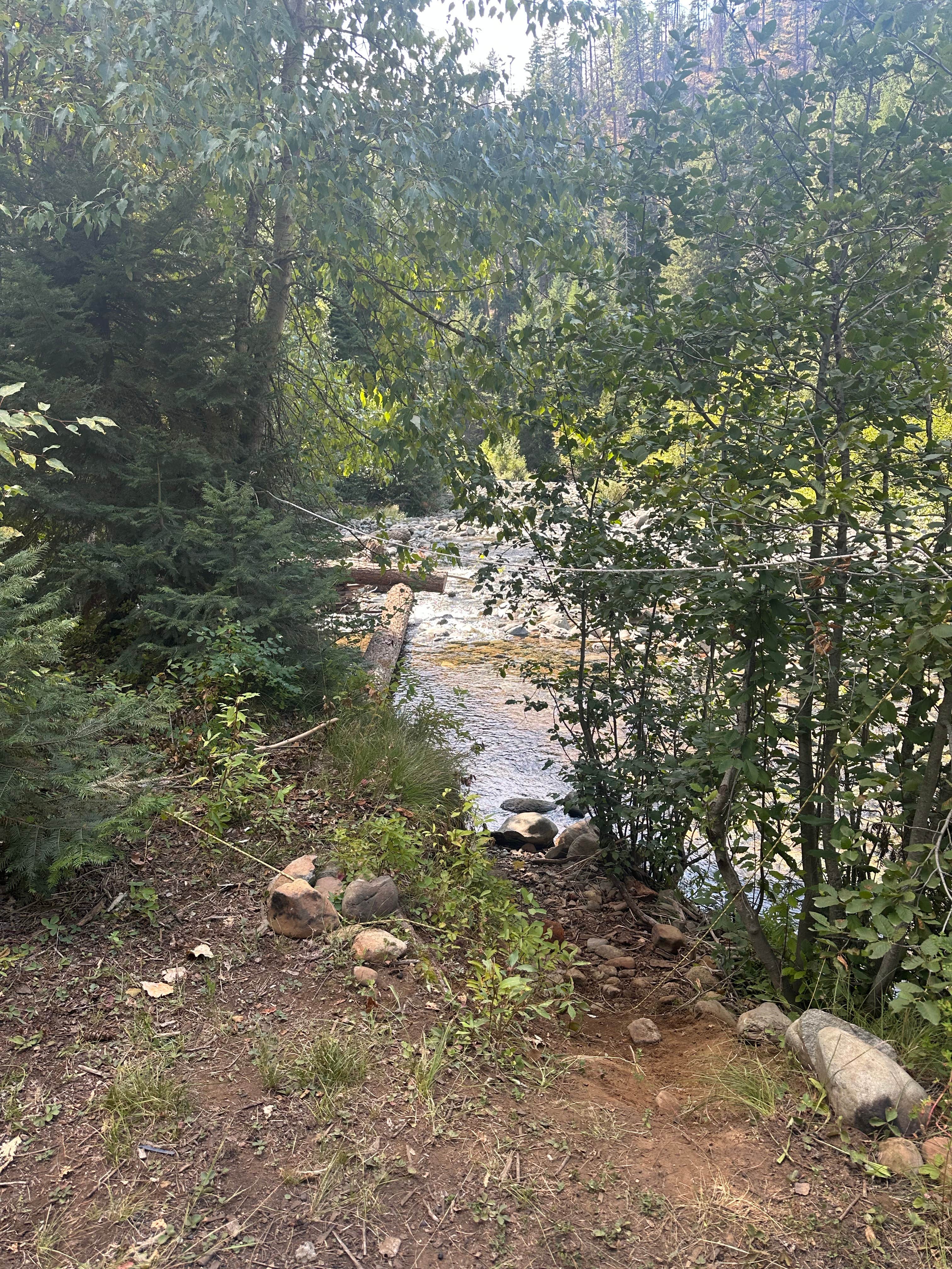 Camper submitted image from Liberty Town / Williams Creek Dispersed Camping - 5