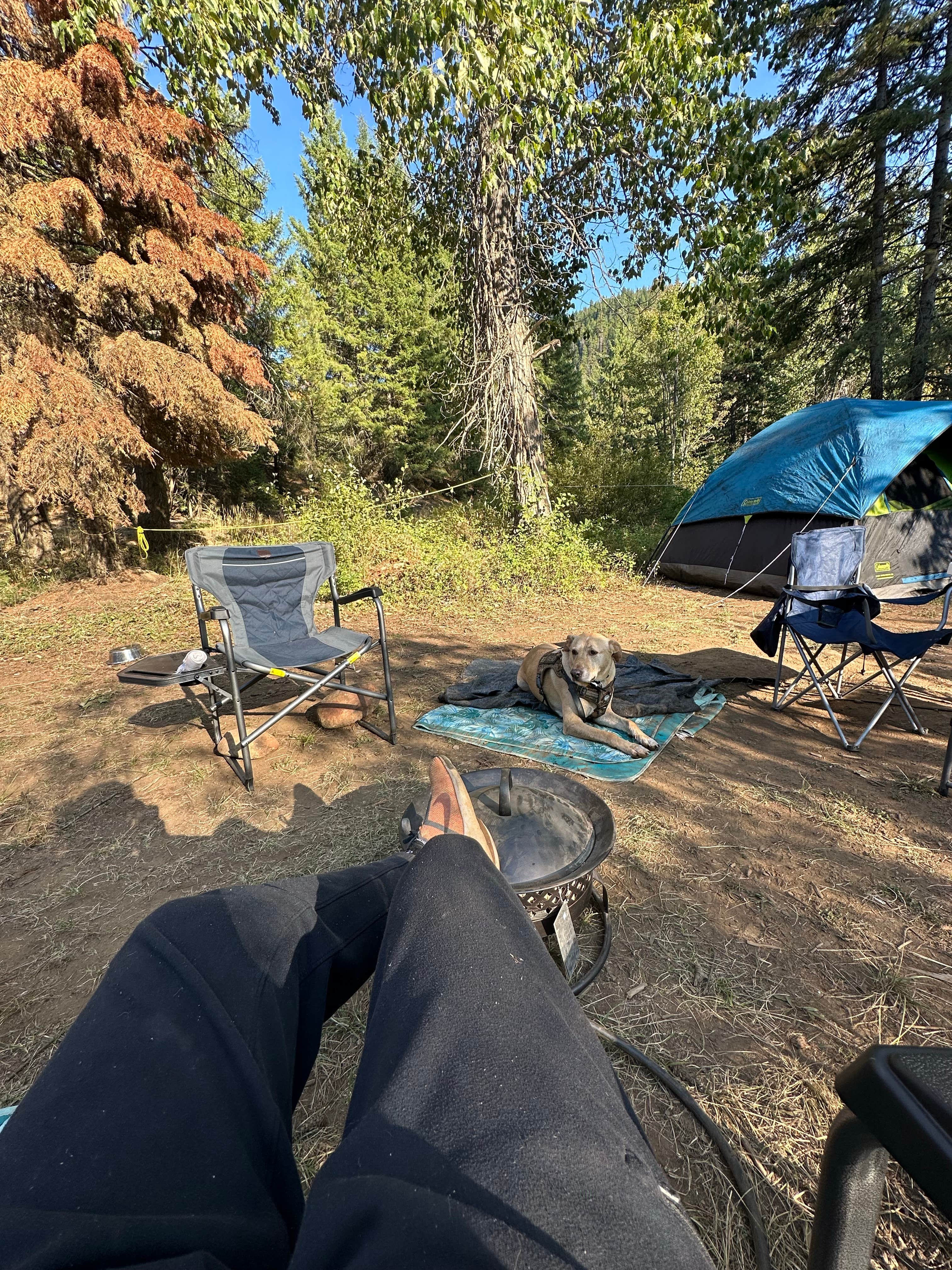 ChiAnn M.'s photo of a dispersed camping area at Liberty Town / Williams Creek Dispersed Camping near Vantage, WA